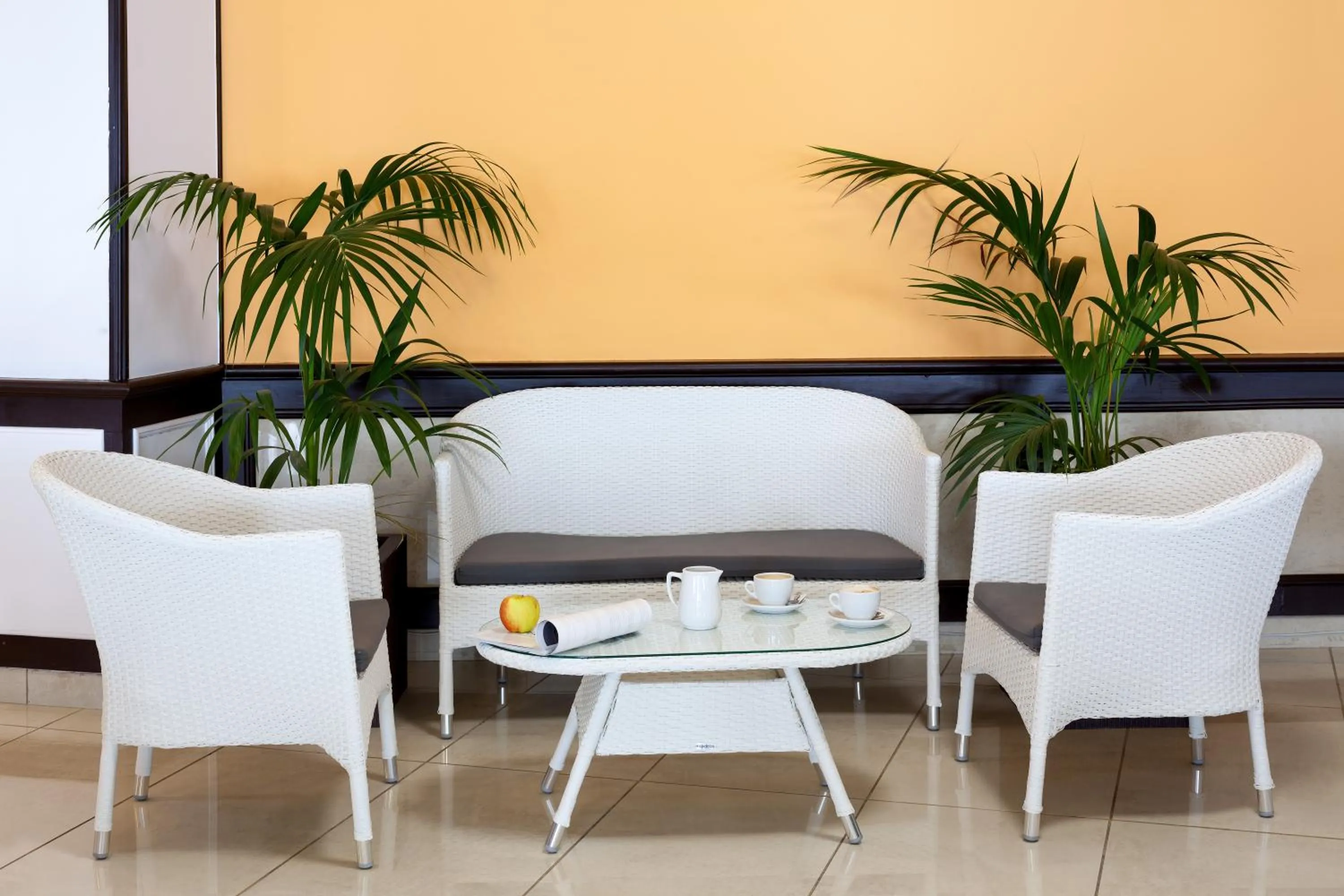 Area and facilities in Aparthotel Los Dragos del Sur