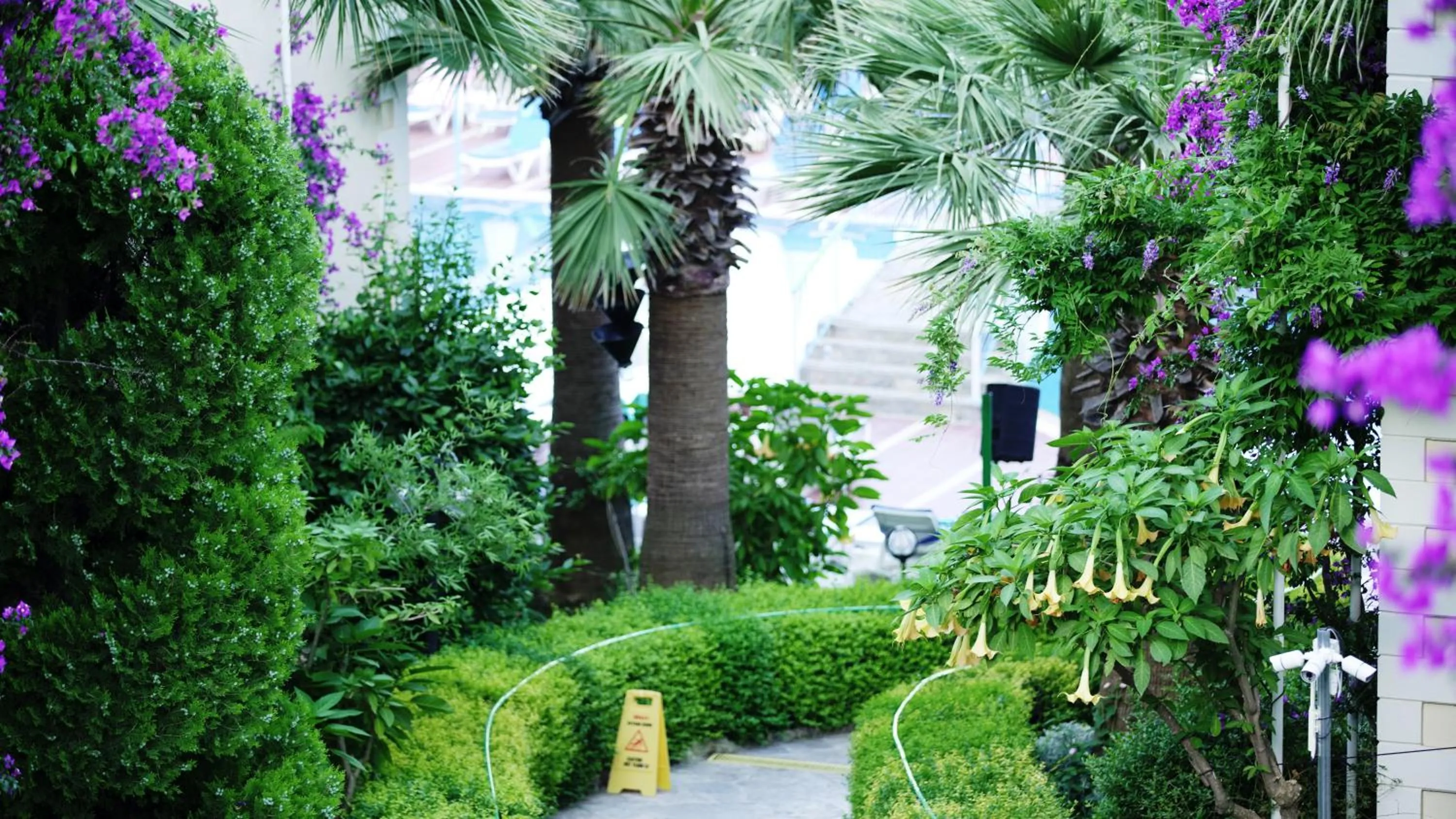 Garden in Yel Holiday Resort