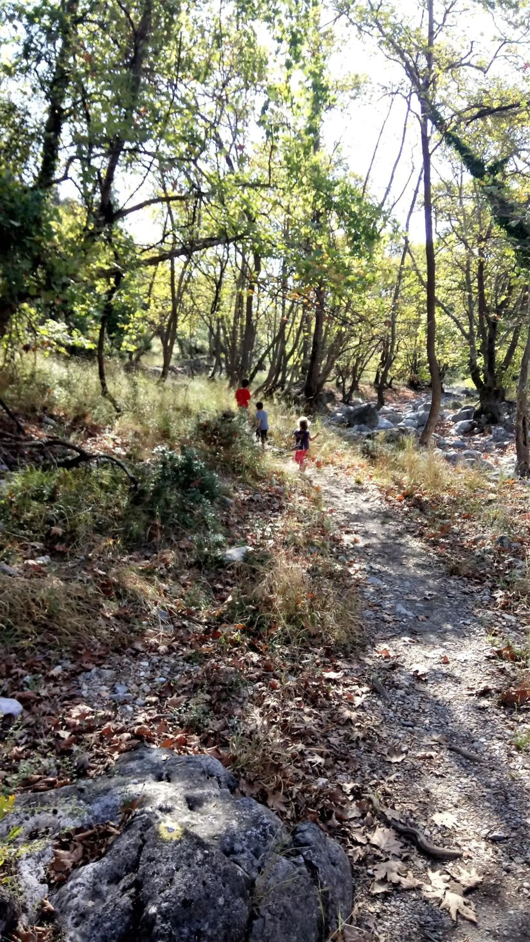 Natural landscape in Palio Litochoro The Countryside Lodge