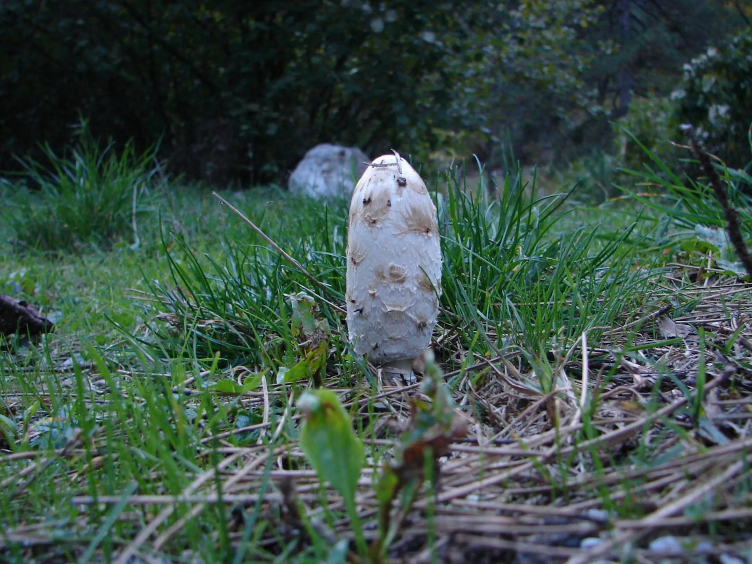 Activities in Palio Litochoro The Countryside Lodge