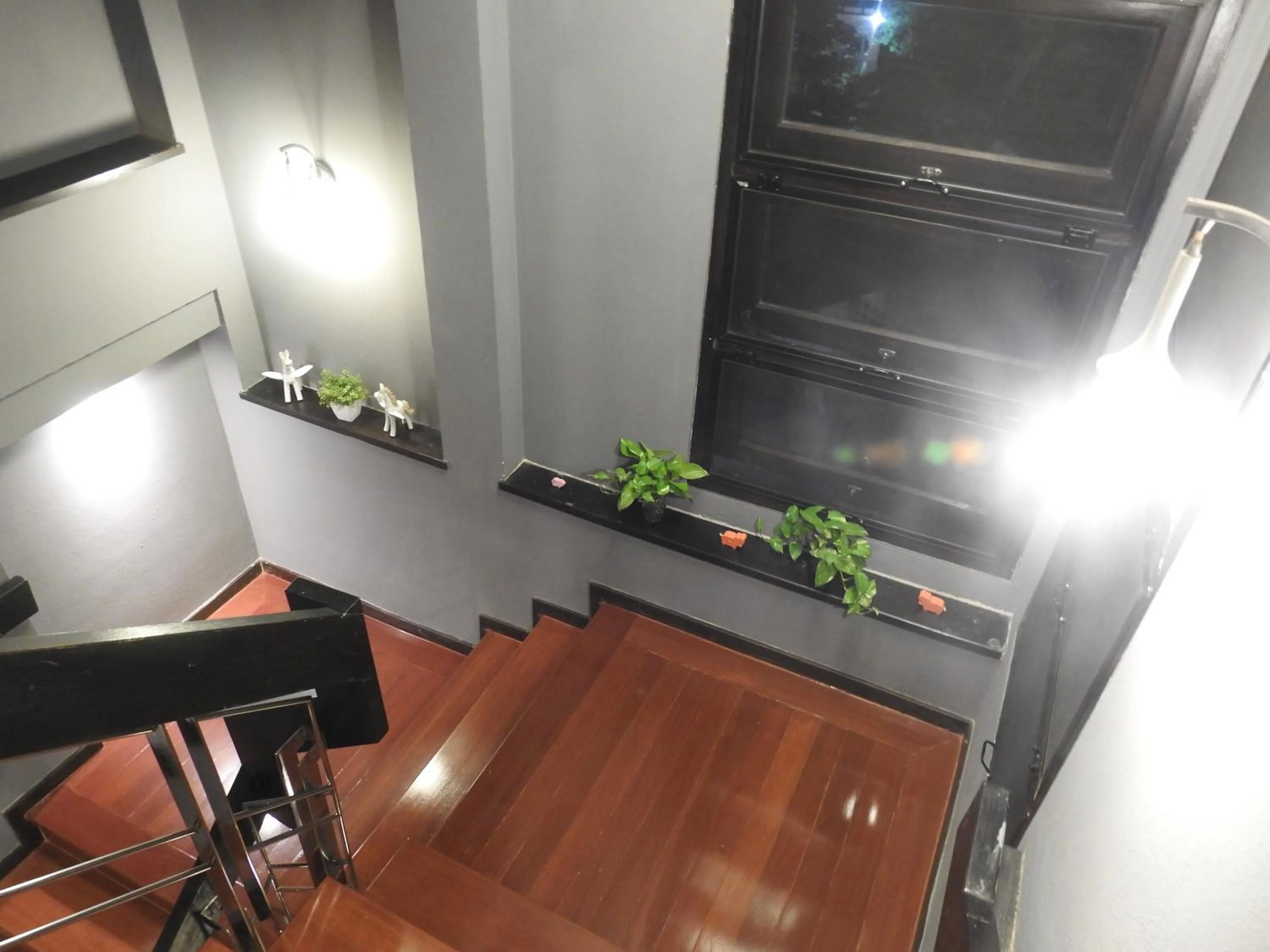 Balcony/Terrace in To Bed Poshtel