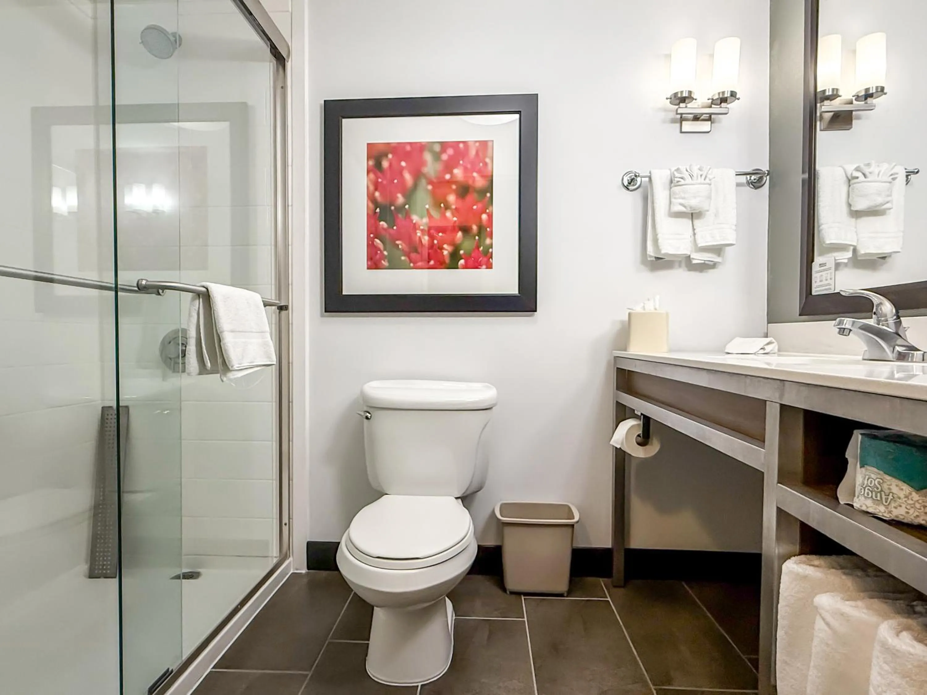 Shower in Hilton Garden Inn Gilroy