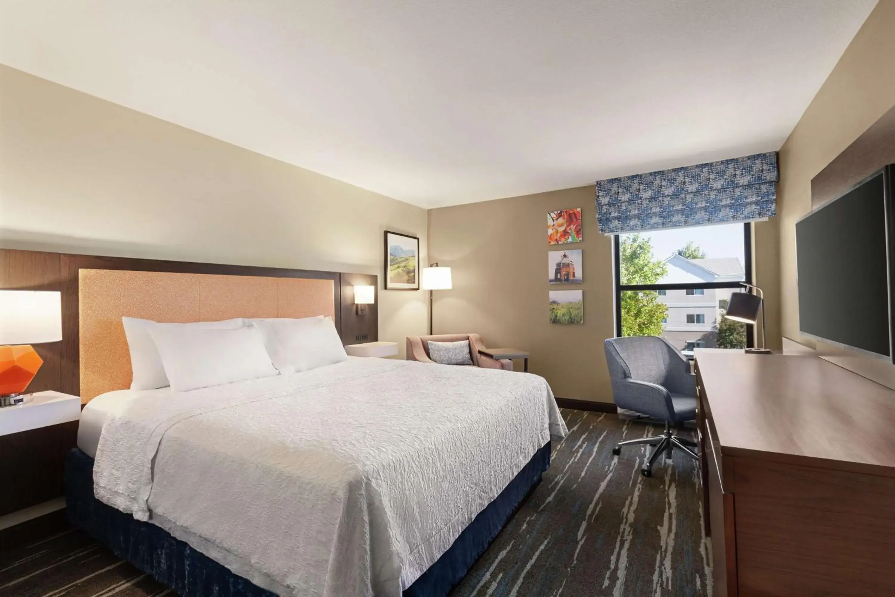 King Room with King Bed - Non-Smoking in Hampton Inn Tracy King Room with King Bed - Non-Smoking in Hampton Inn Tracy