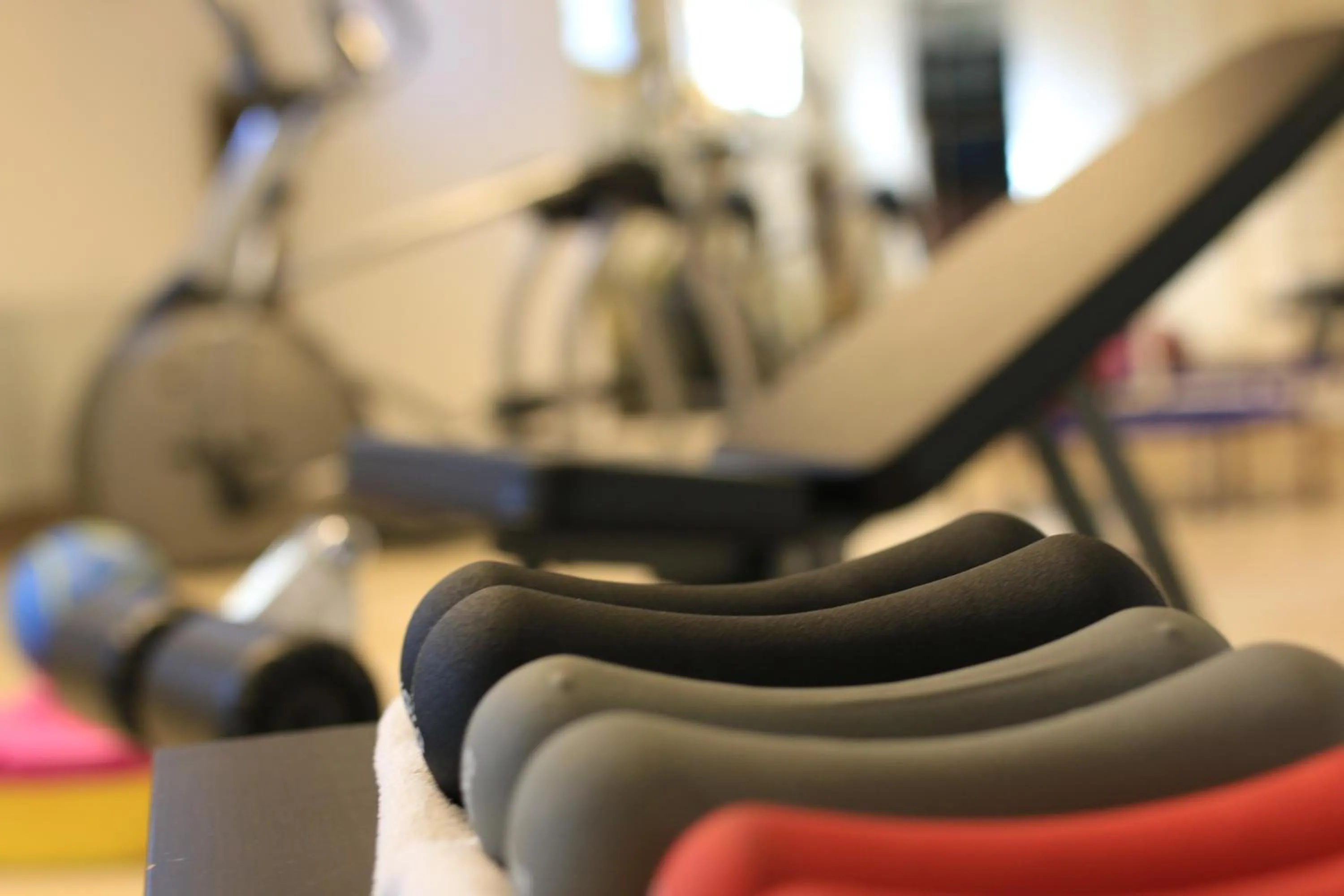 Activities in Hotel Alexa