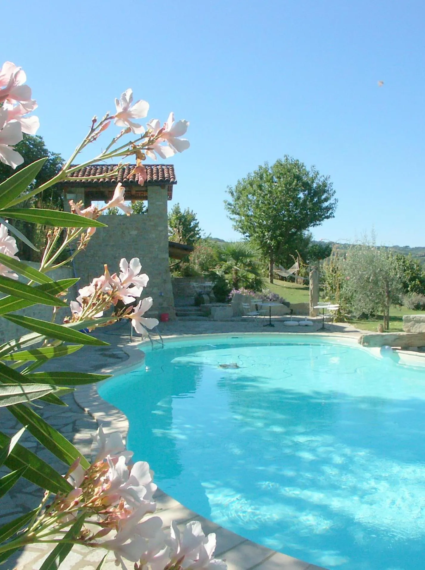 Swimming pool in Agriturismo Sondrea