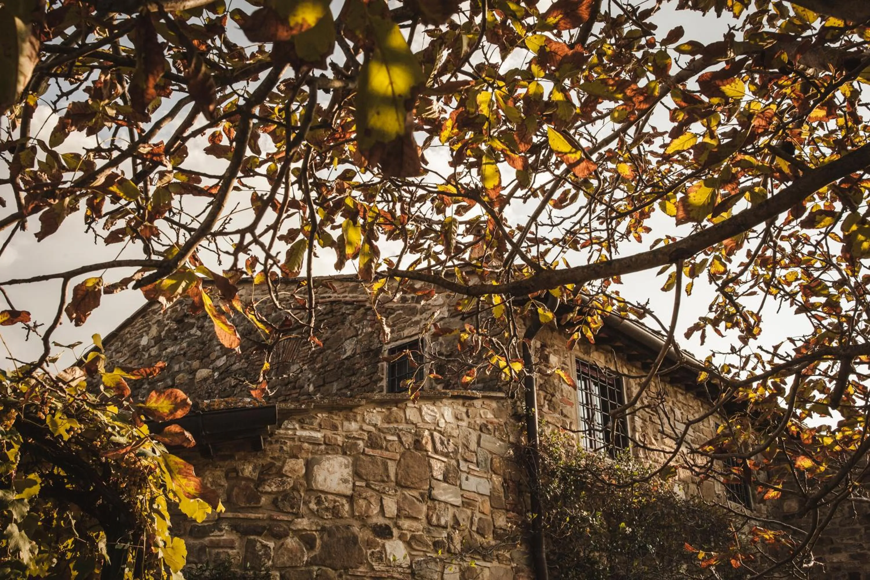 Property building in La Veronica Exclusive Chianti Resort