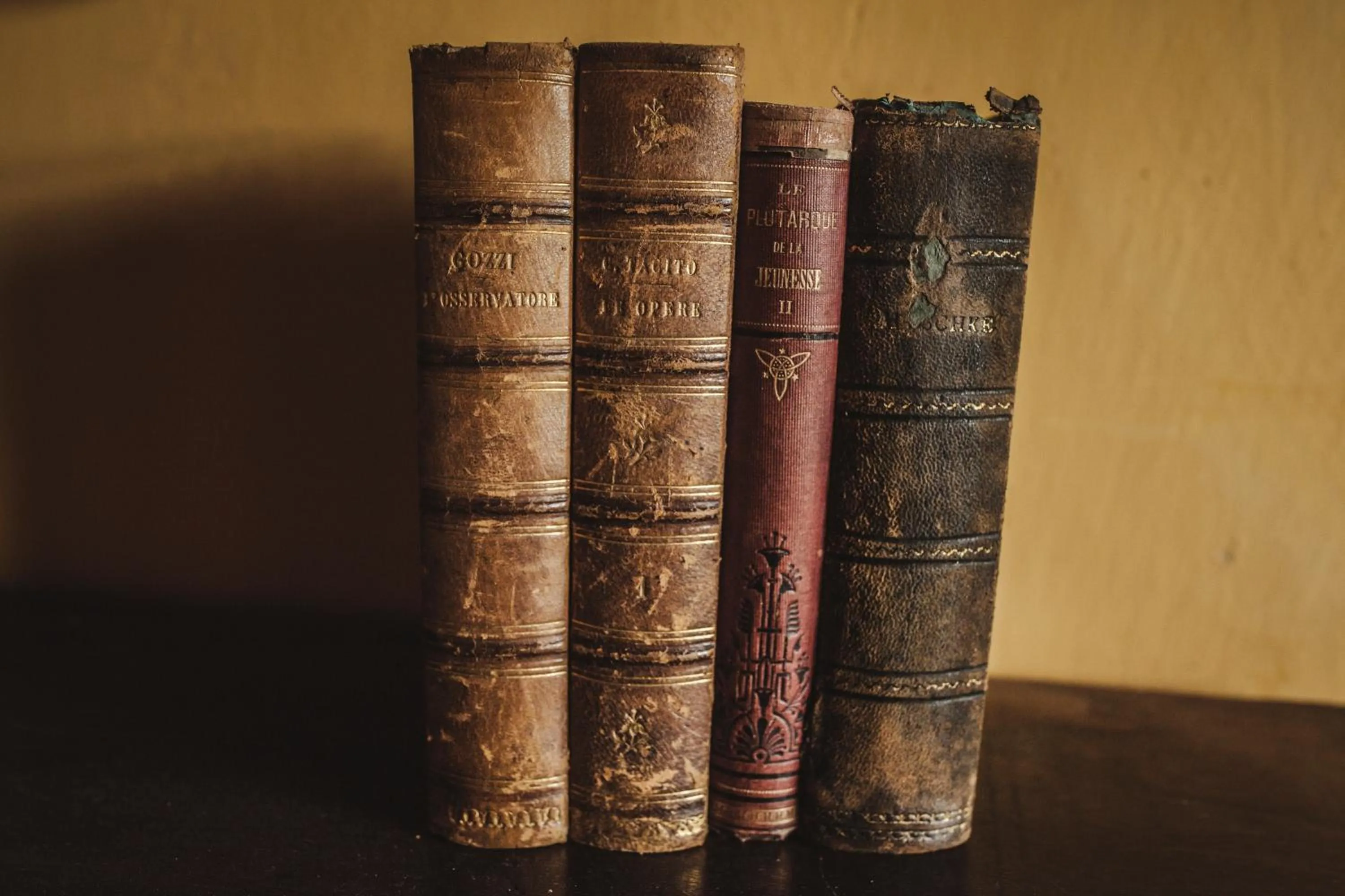 Library in La Veronica Exclusive Chianti Resort