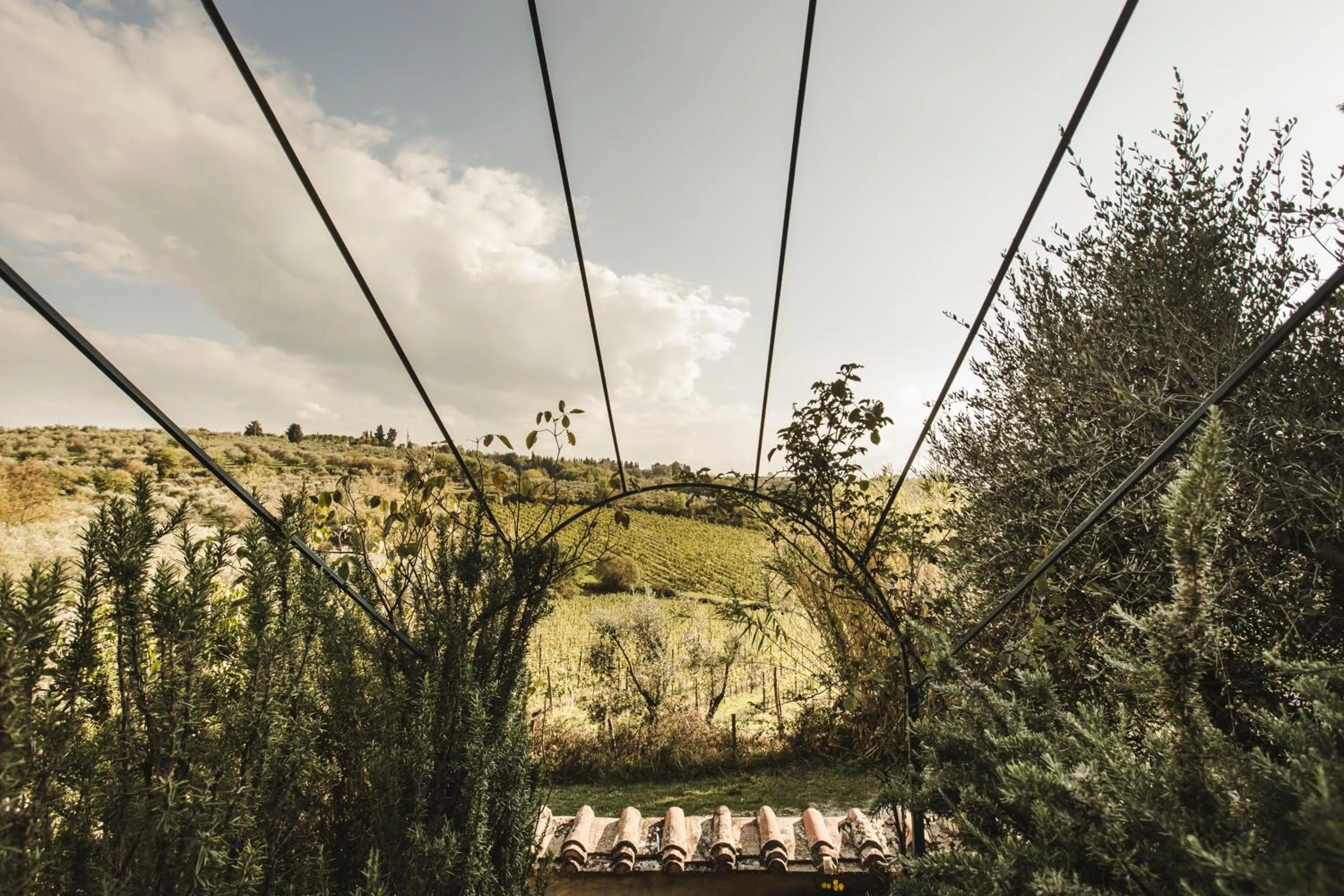 Natural landscape in La Veronica Exclusive Chianti Resort