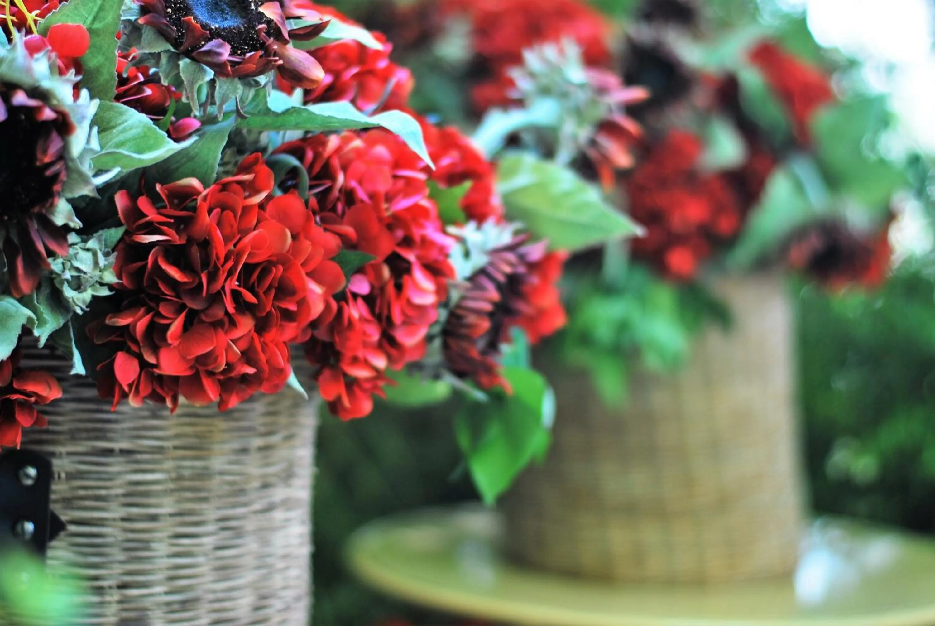 Banquet/Function facilities in La Veronica Exclusive Chianti Resort