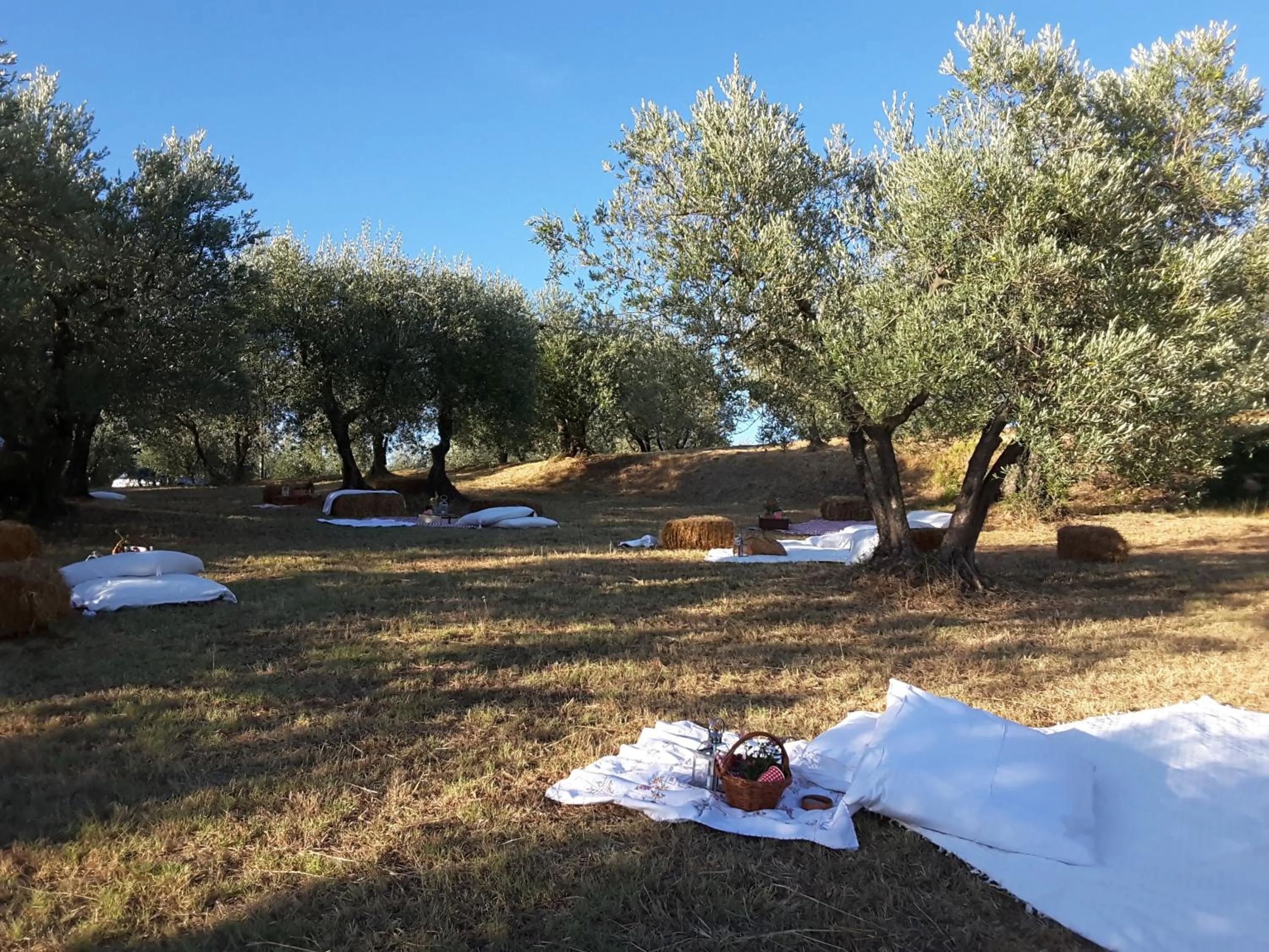 Garden in La Veronica Exclusive Chianti Resort