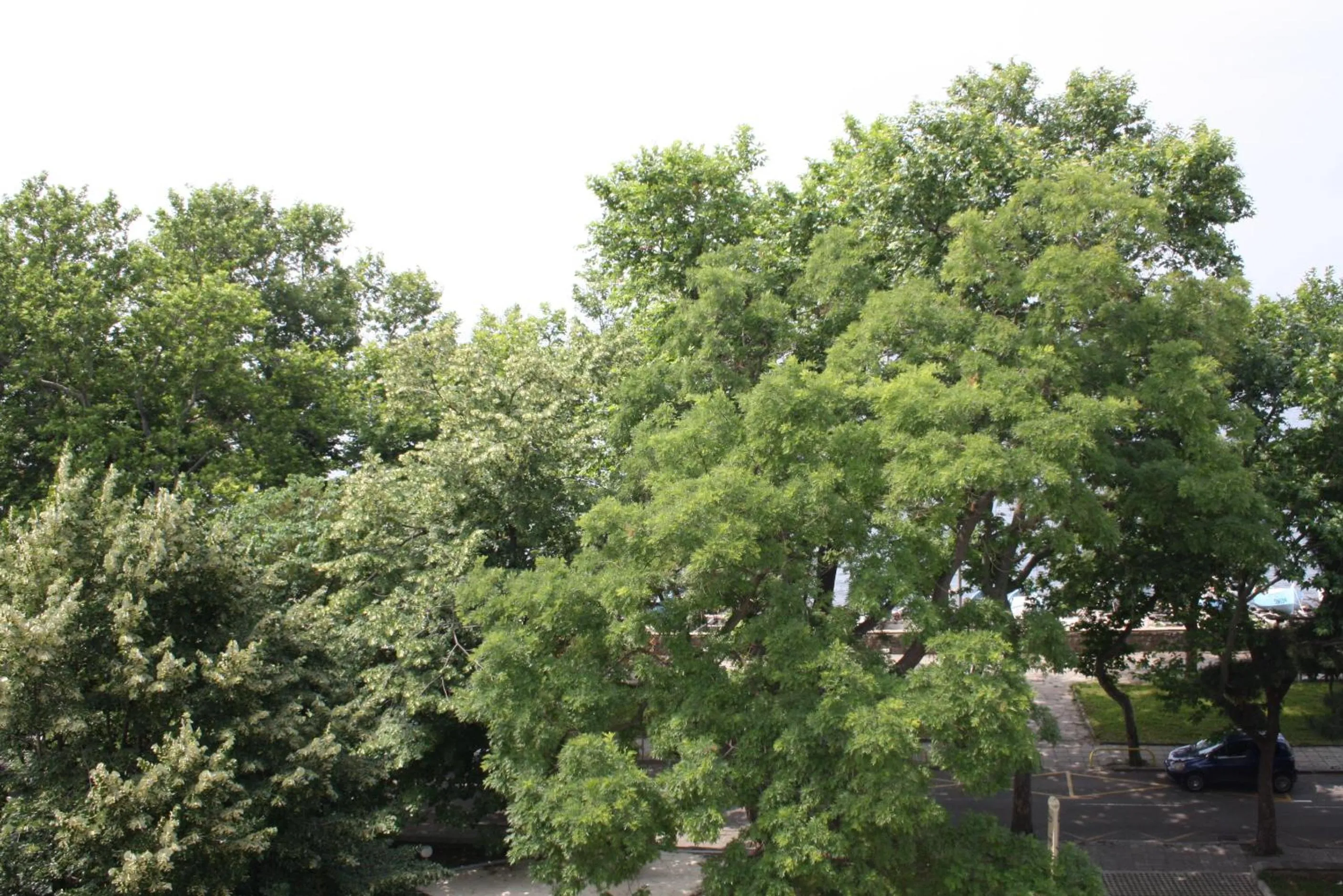 View (from property/room) in Paradise Hotel & Relax Center