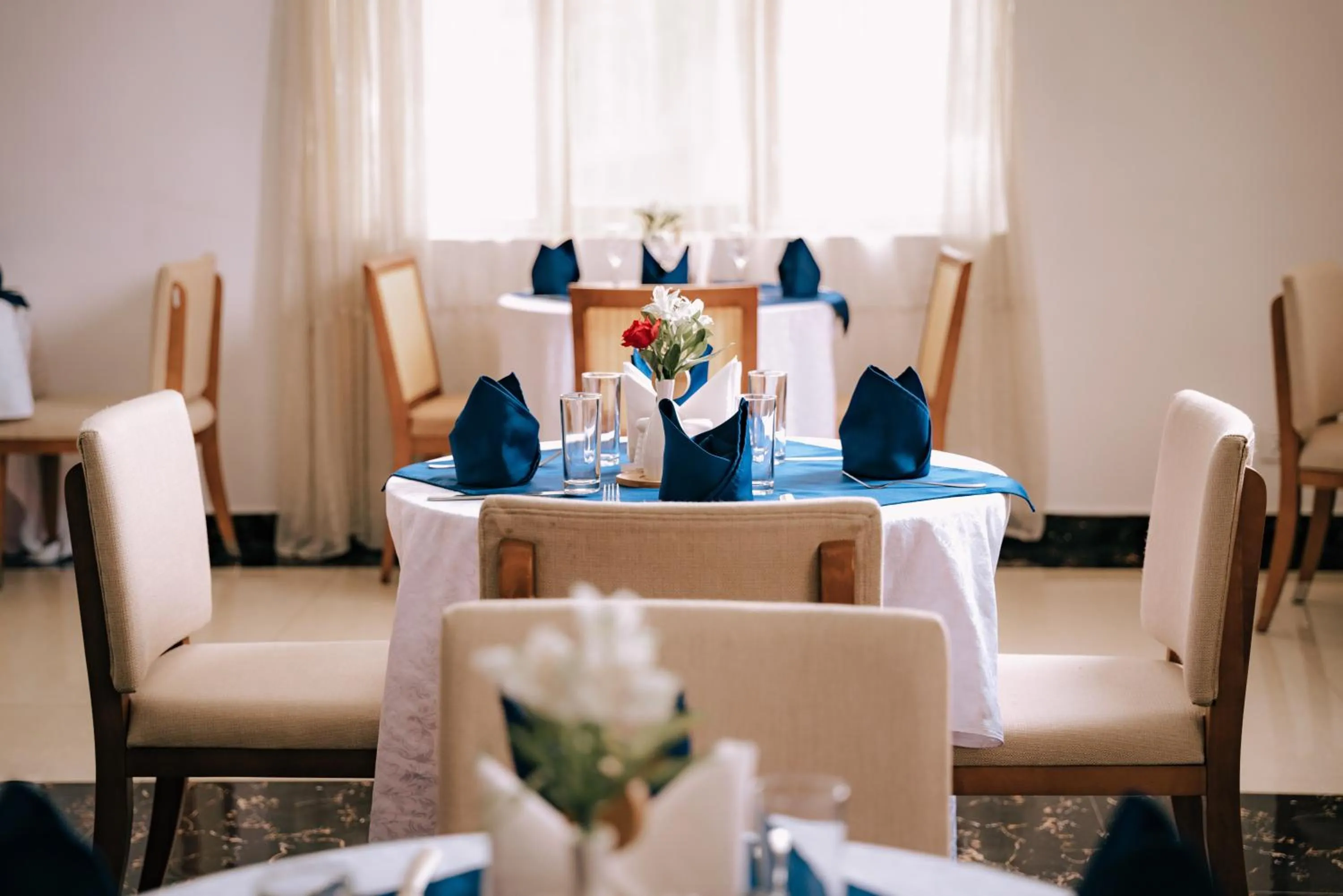 Restaurant/places to eat in Tolip Olympia Hotel