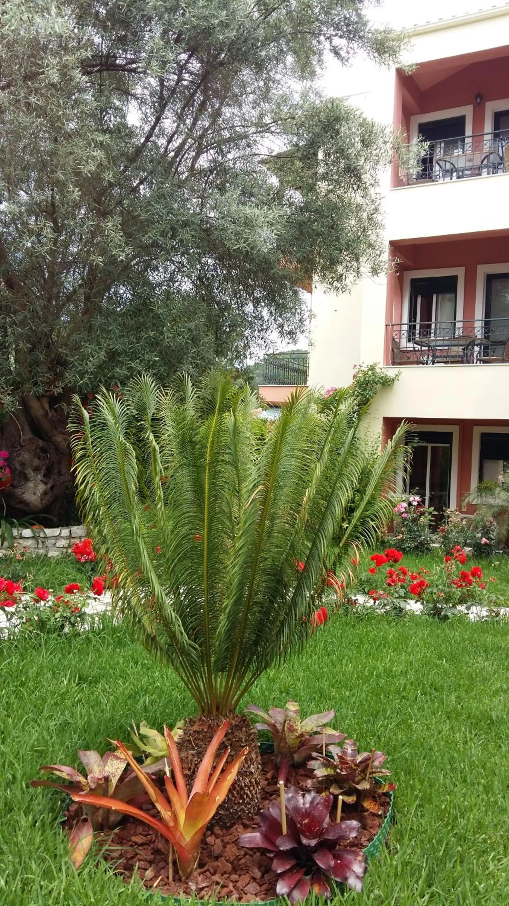 Other in PHILIPPOS Hotel Apartments