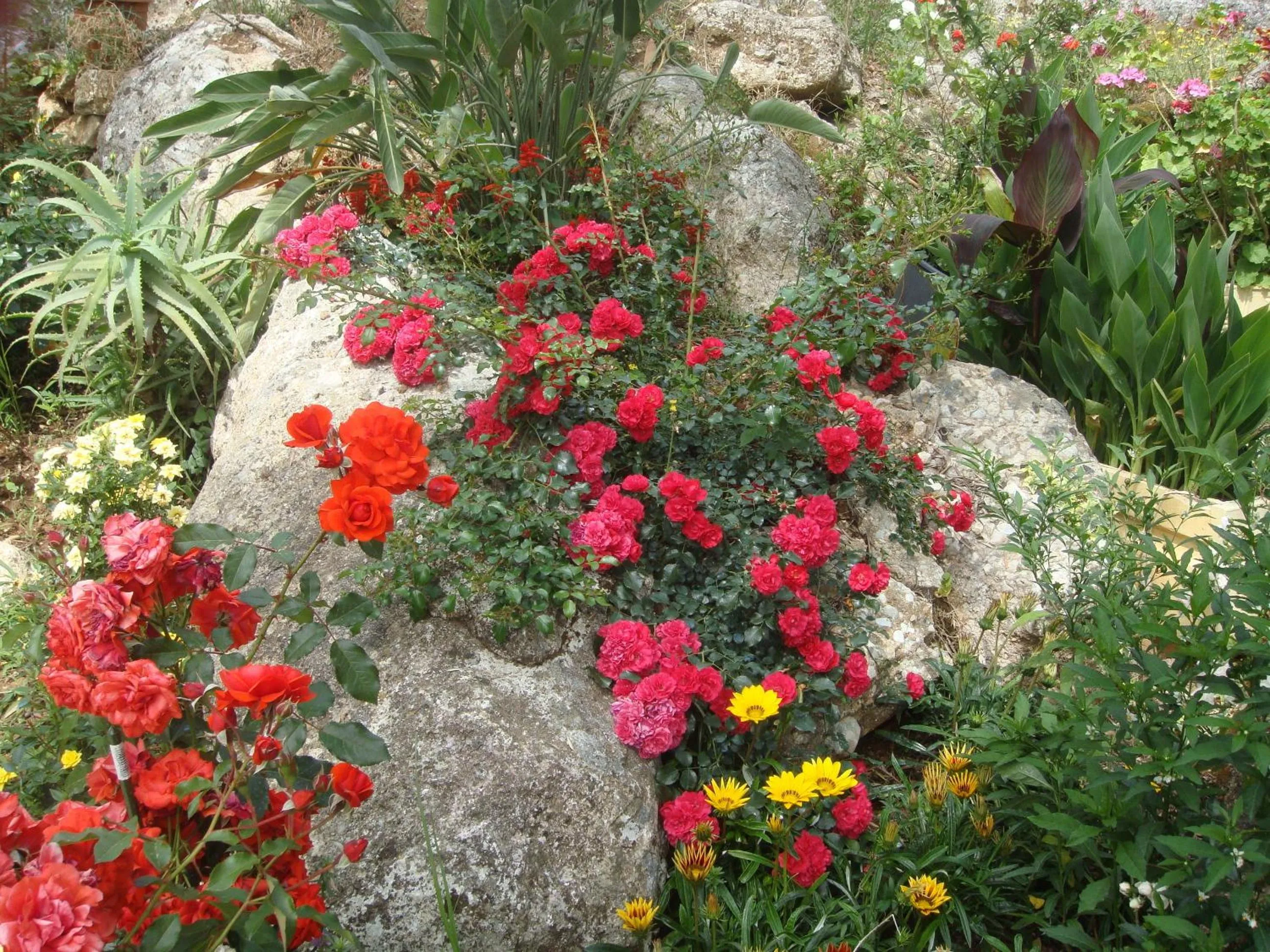 Garden in PHILIPPOS Hotel Apartments