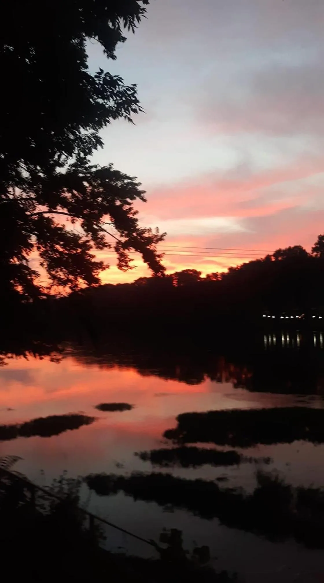 Natural landscape in Martin's River Cabin