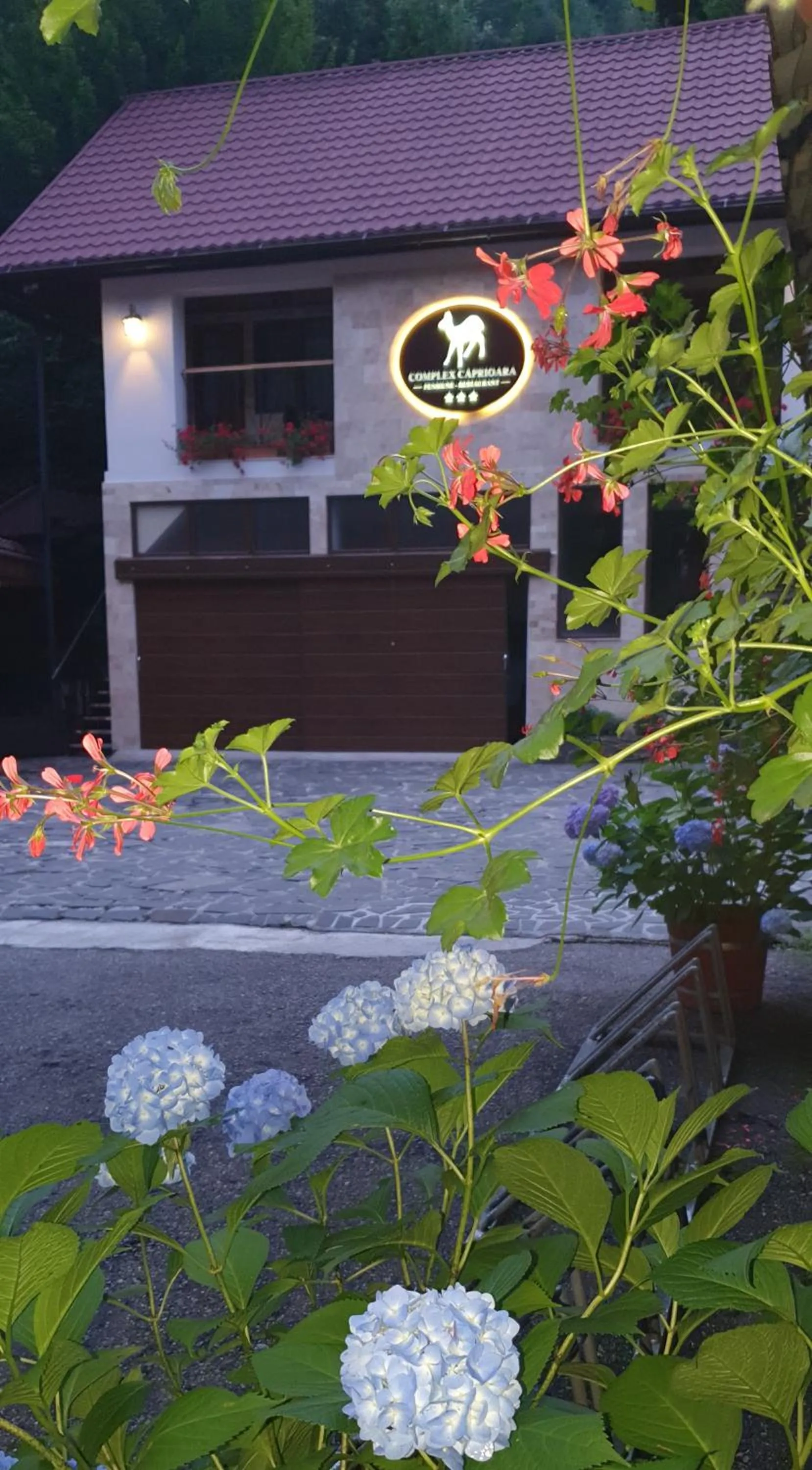 Complex Turistic Caprioara