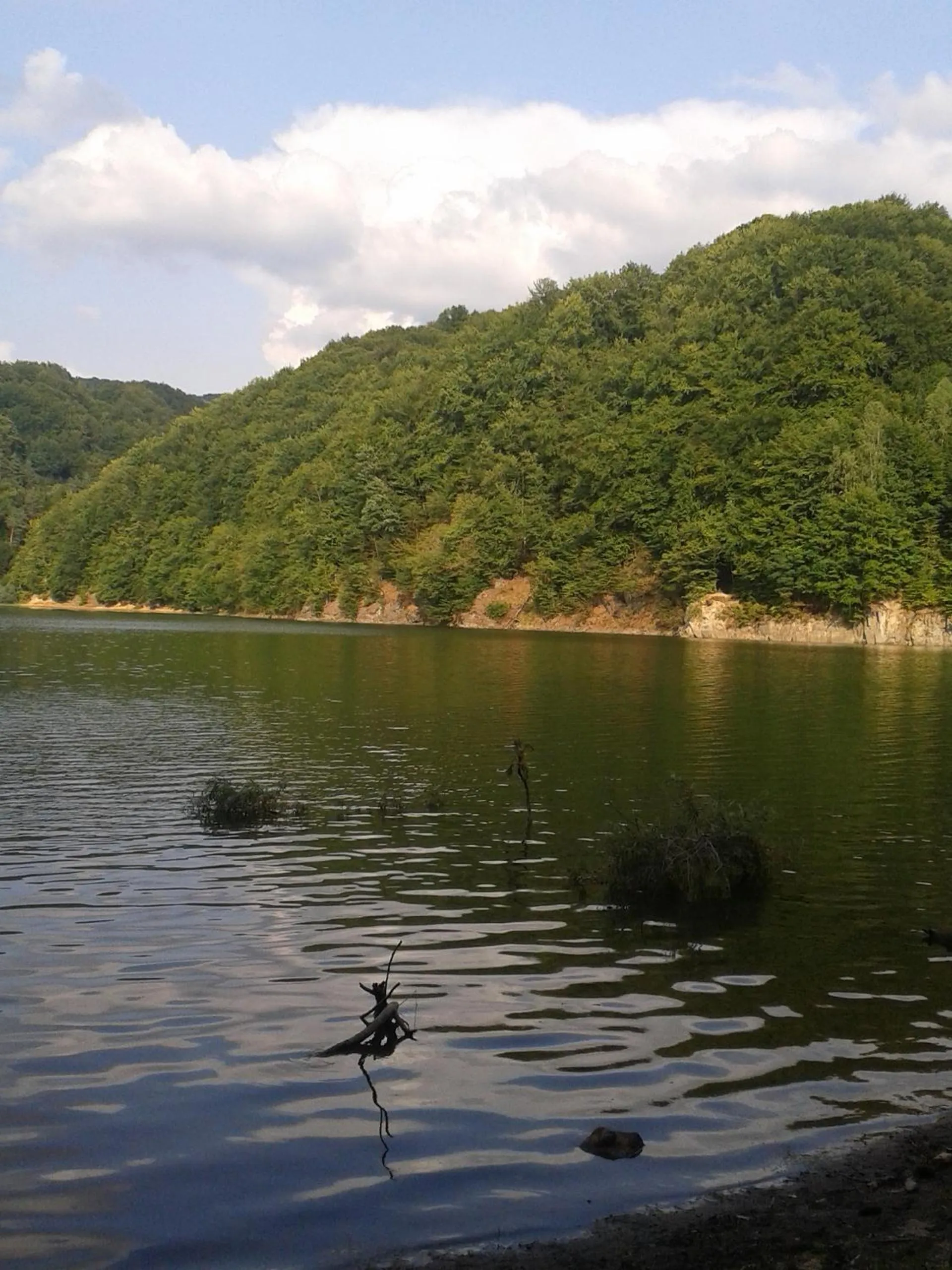 Natural landscape in Complex Turistic Caprioara