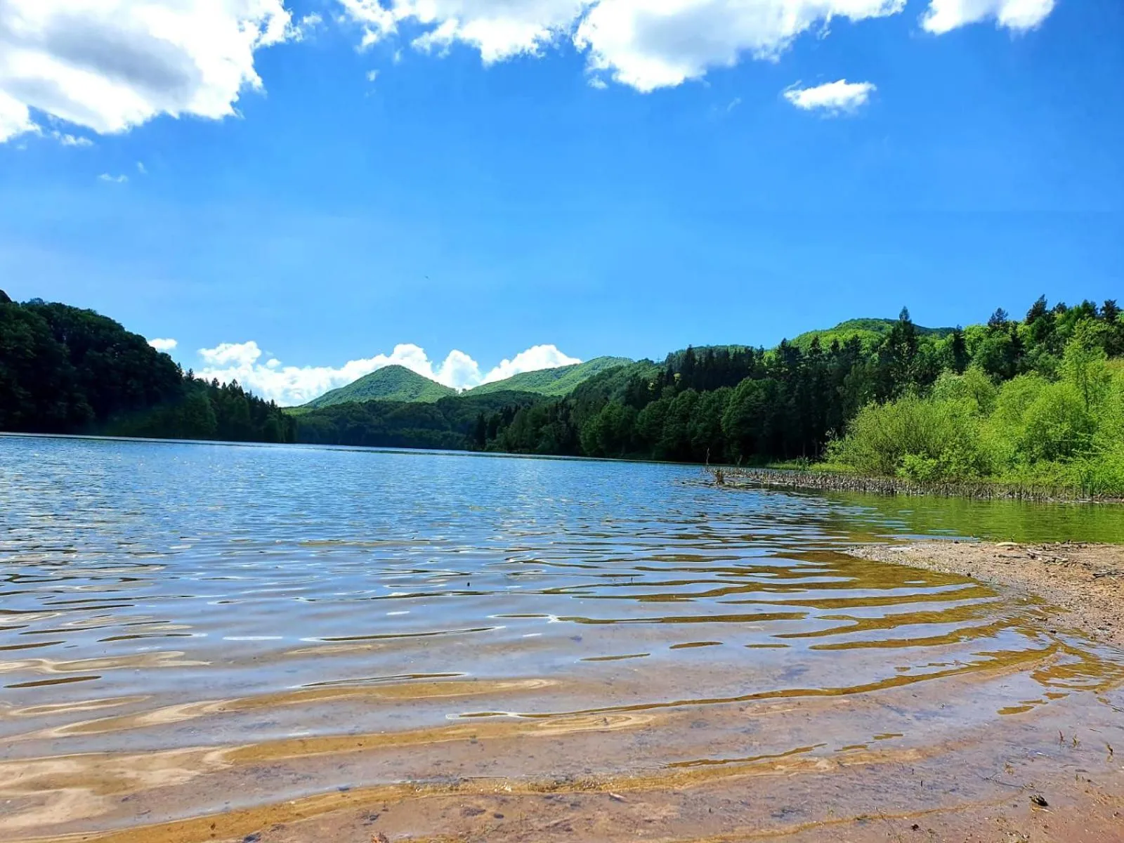 Complex Turistic Caprioara