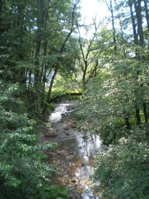 Natural landscape in Complex Turistic Caprioara