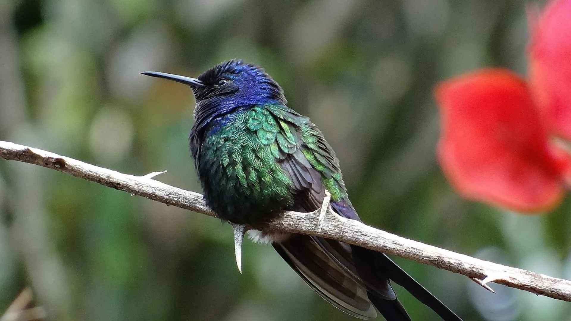 Day in Hotel Fazenda Itáytyba