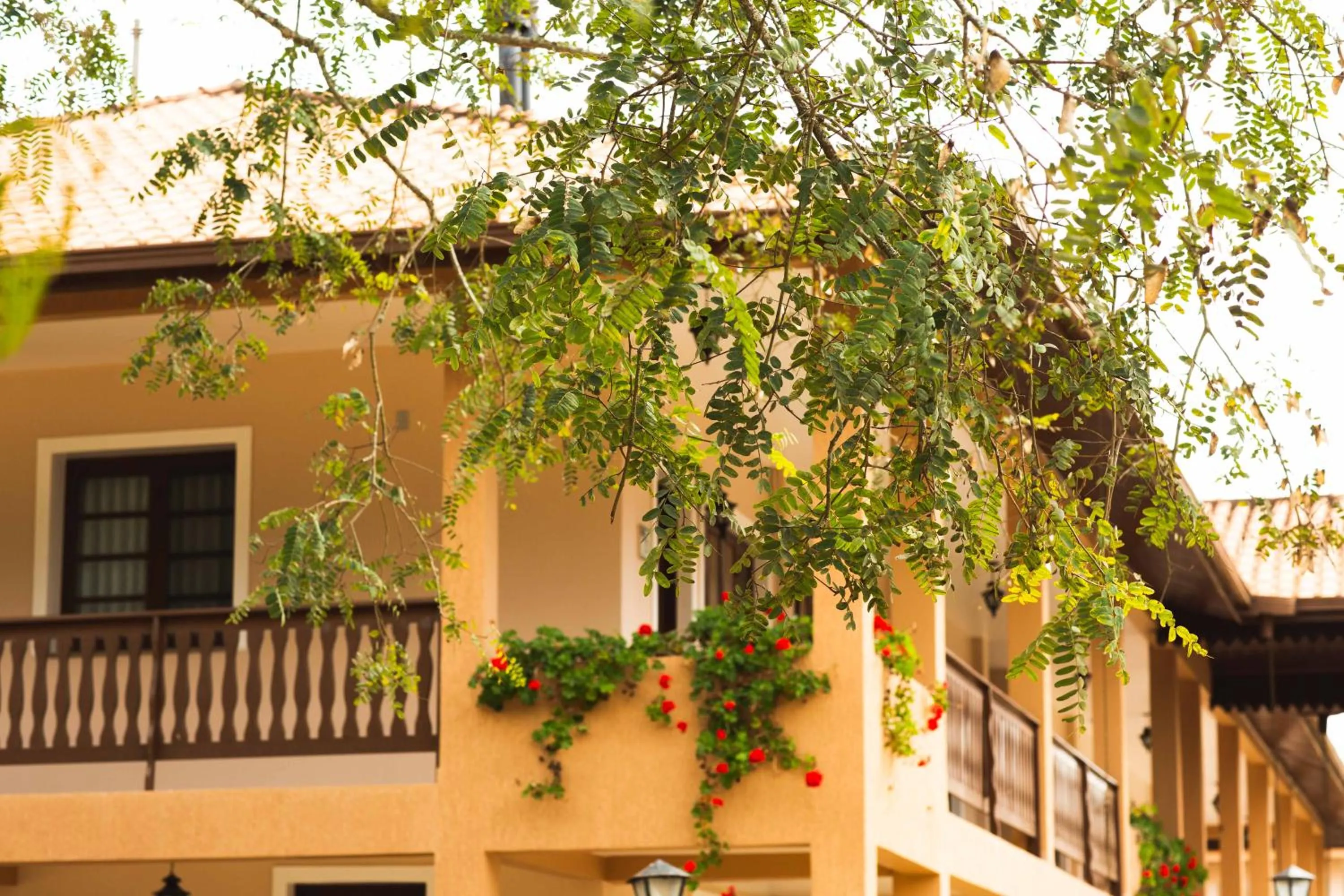 Property building in Hotel Fazenda Itáytyba