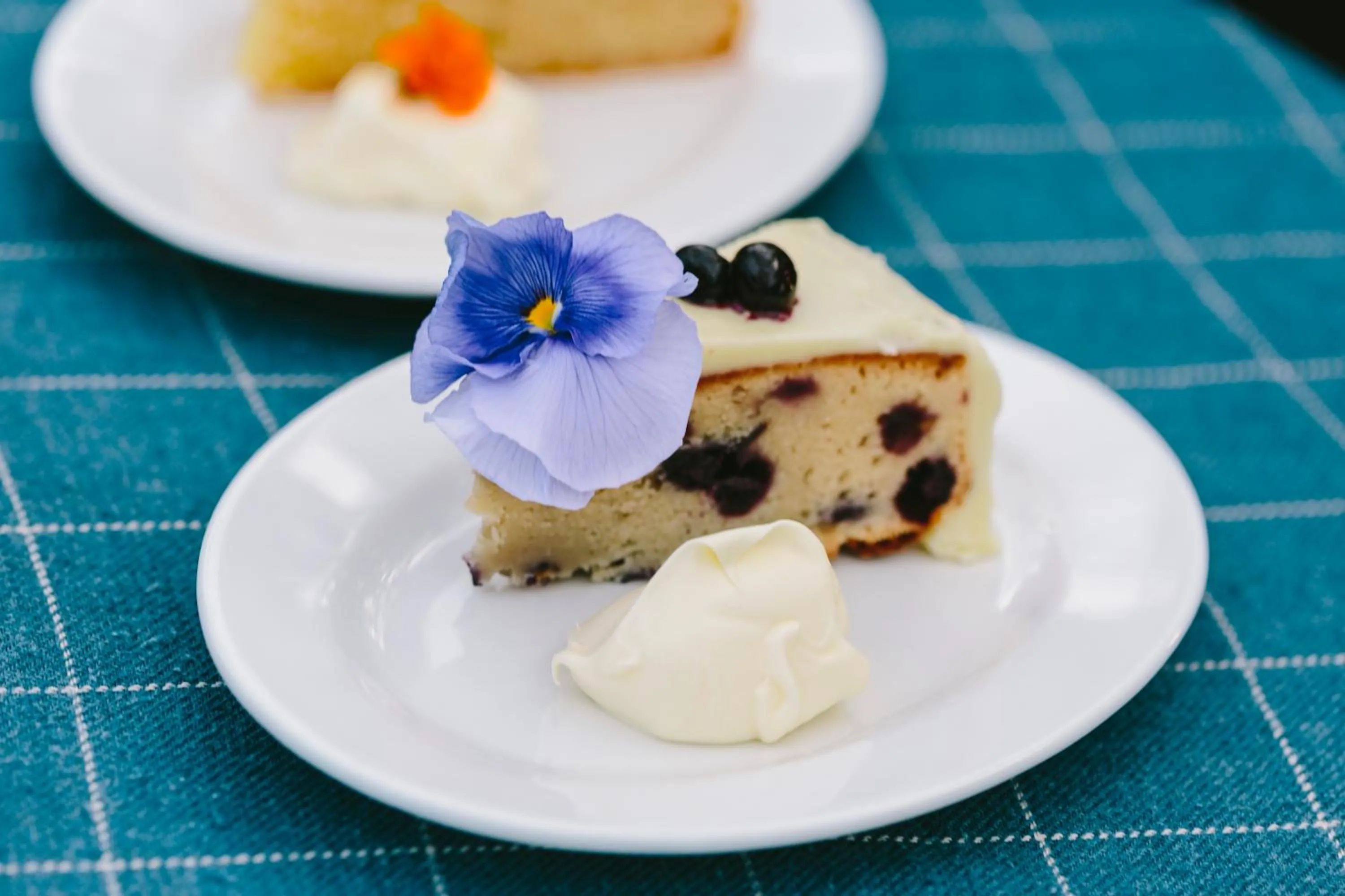 Food and drinks in Angel Sussurri