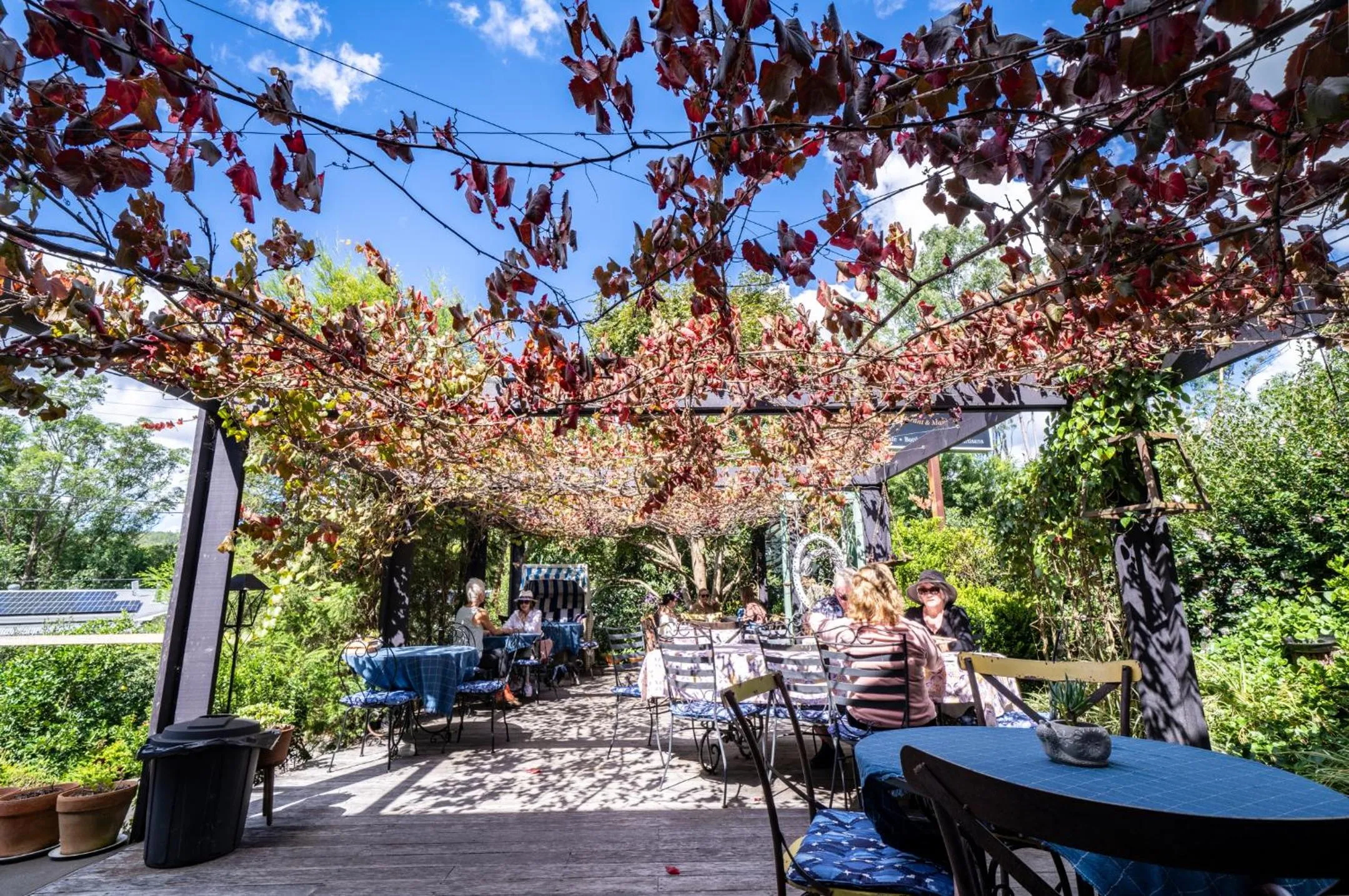 Food and drinks in Angel Sussurri