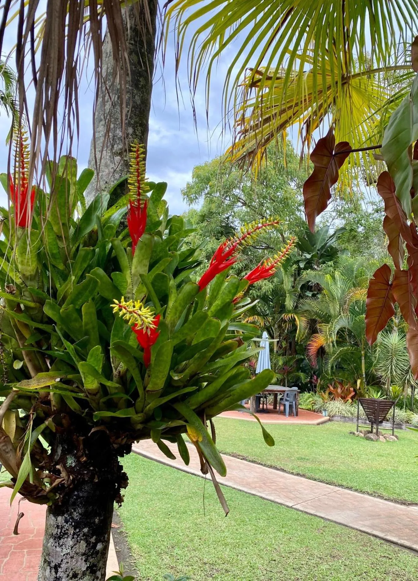 Garden in Ferns Hideaway Resort