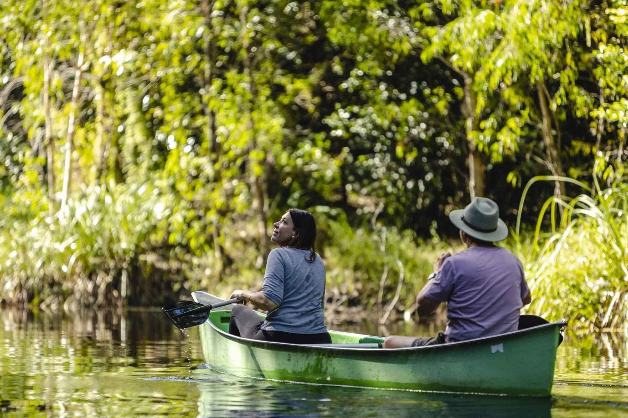 Ferns Hideaway Resort