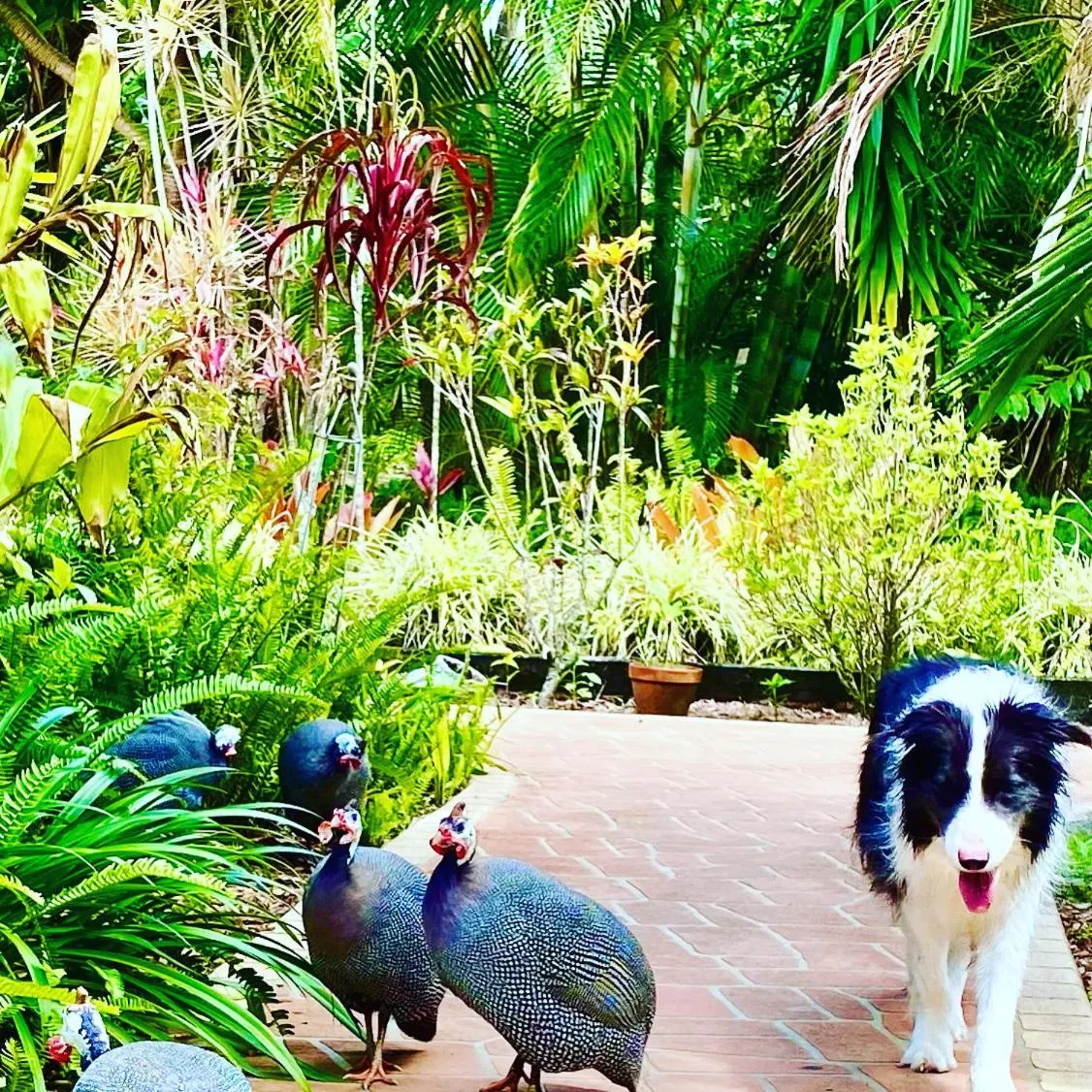 Day in Ferns Hideaway Resort