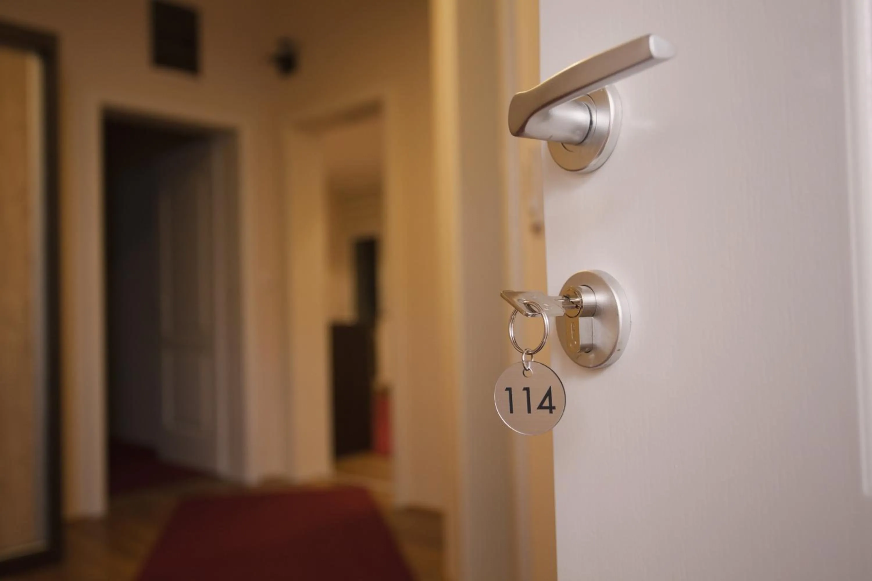 Deluxe Suite in Apartmani Brocat