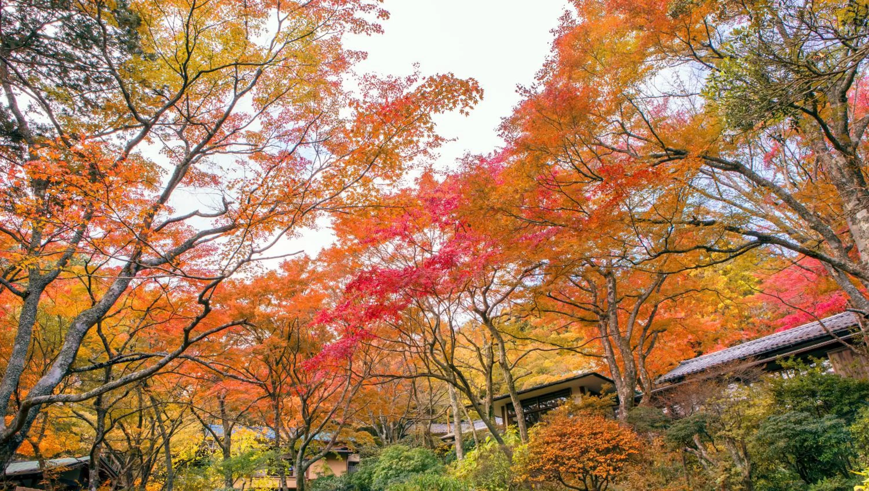 Neighbourhood in Gora Kansuiro