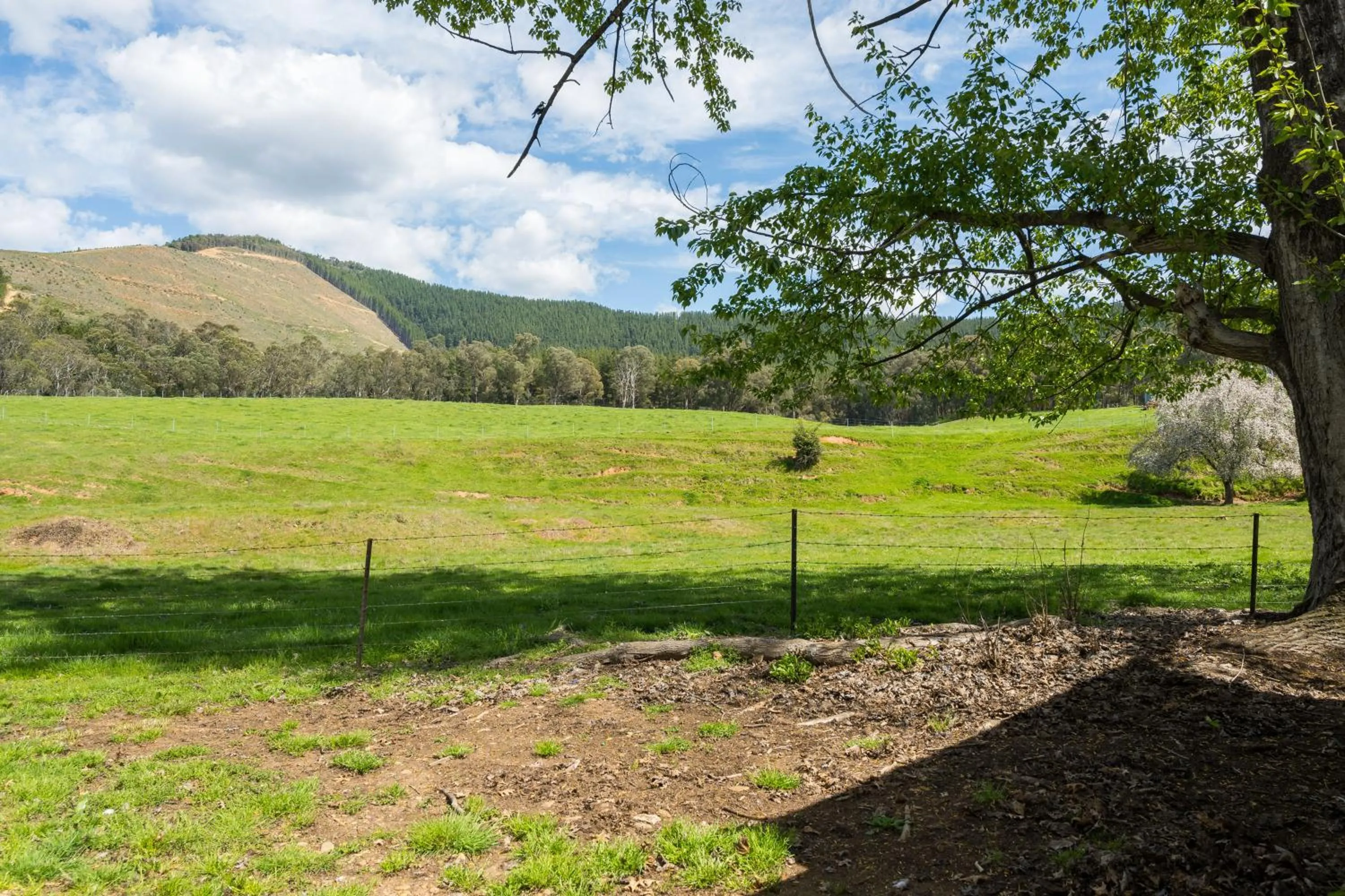 Natural landscape in Bright Cabin Park
