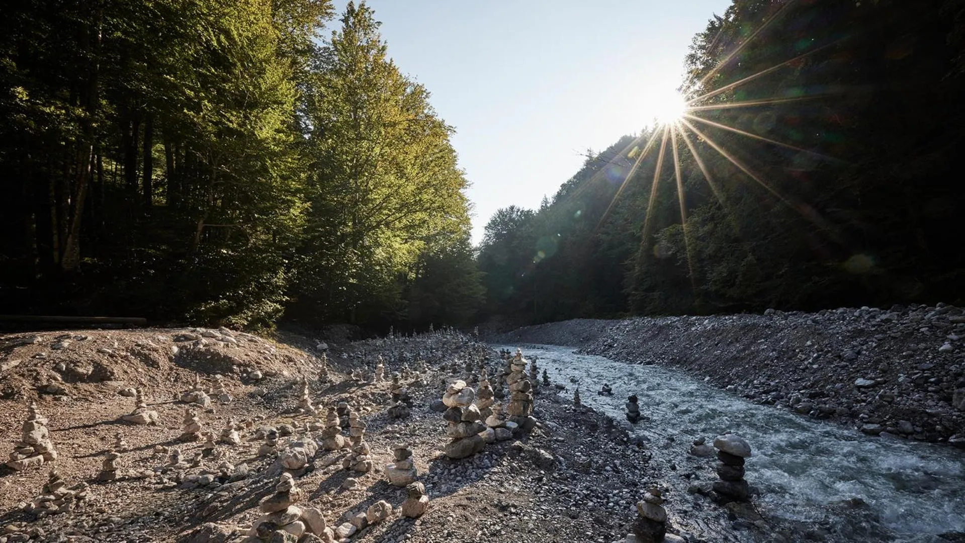 Natural landscape in Der Brandstetterhof - Adults only