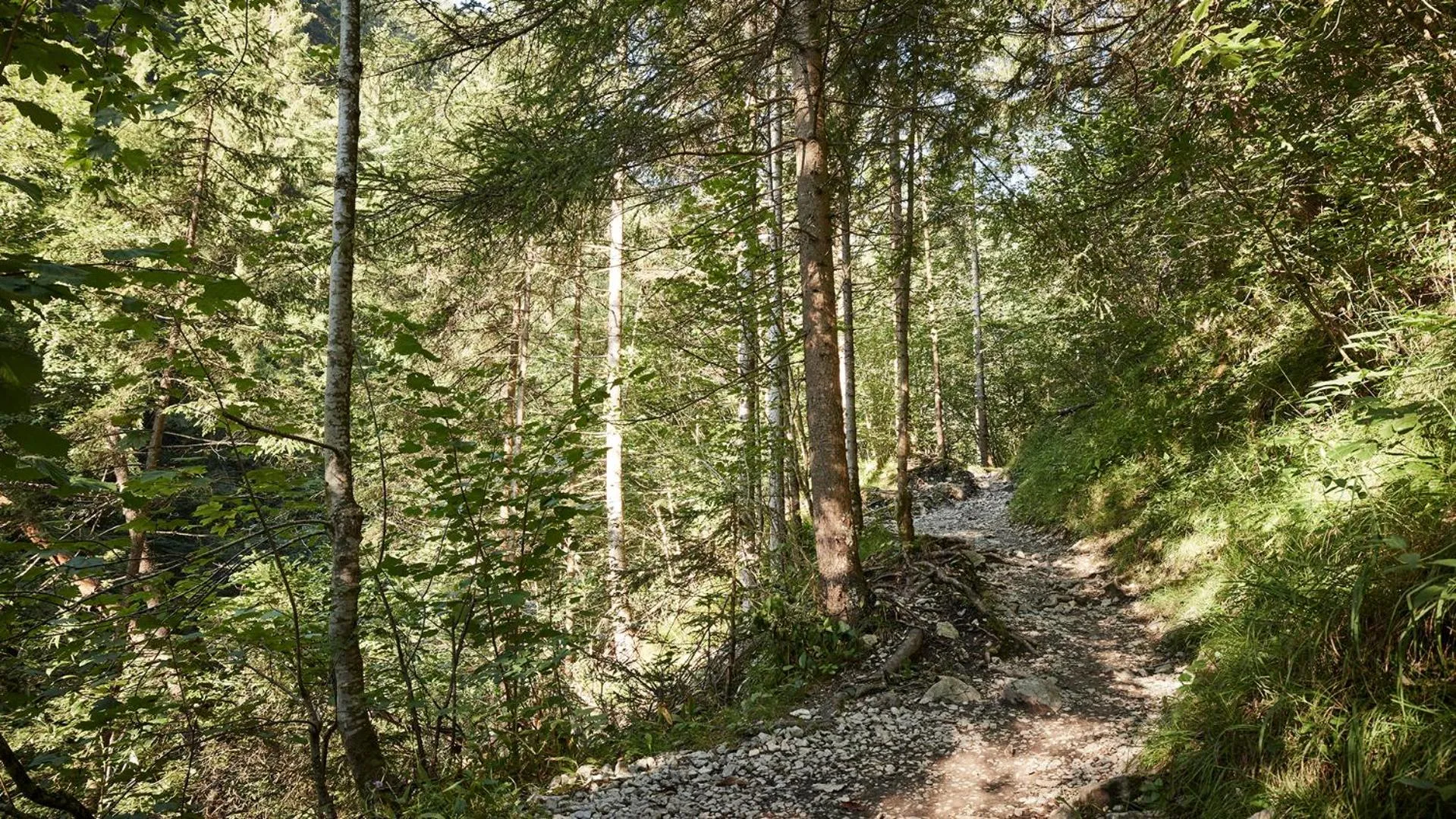 Hiking in Der Brandstetterhof - Adults only