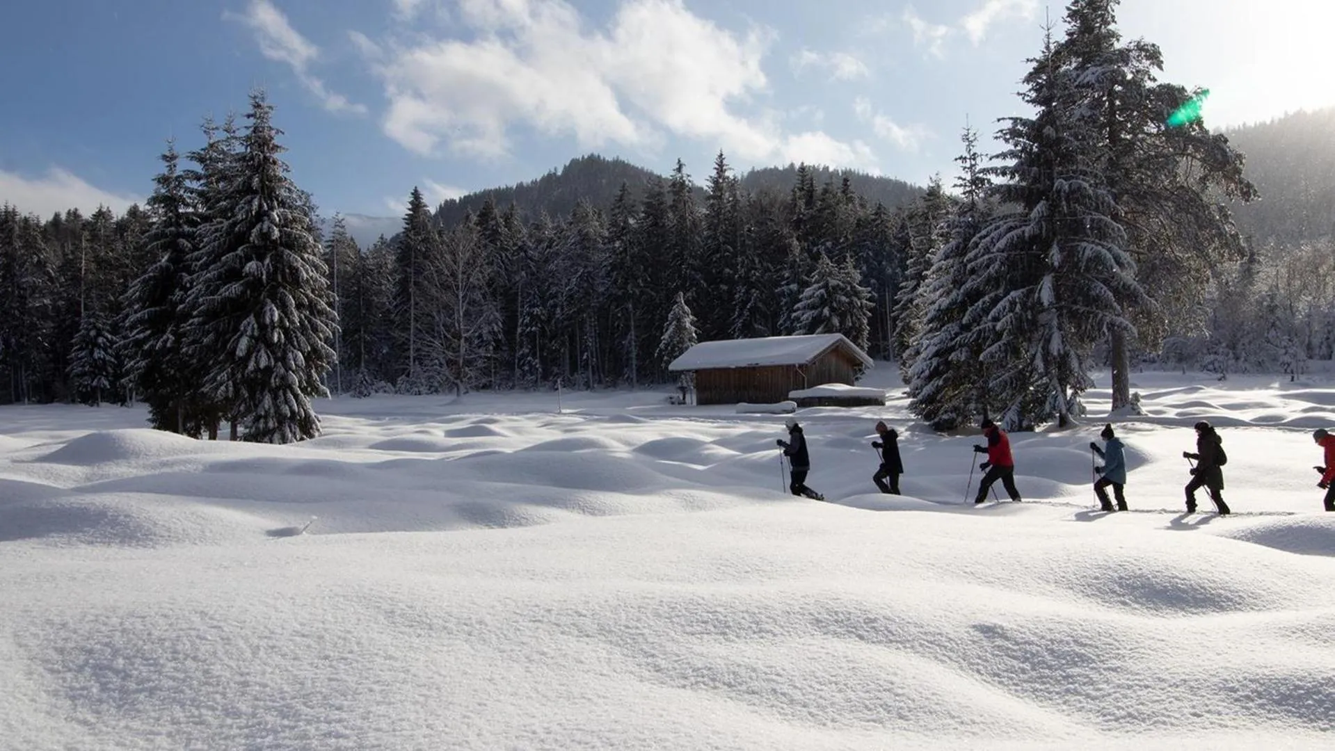 Natural landscape in Der Brandstetterhof - Adults only