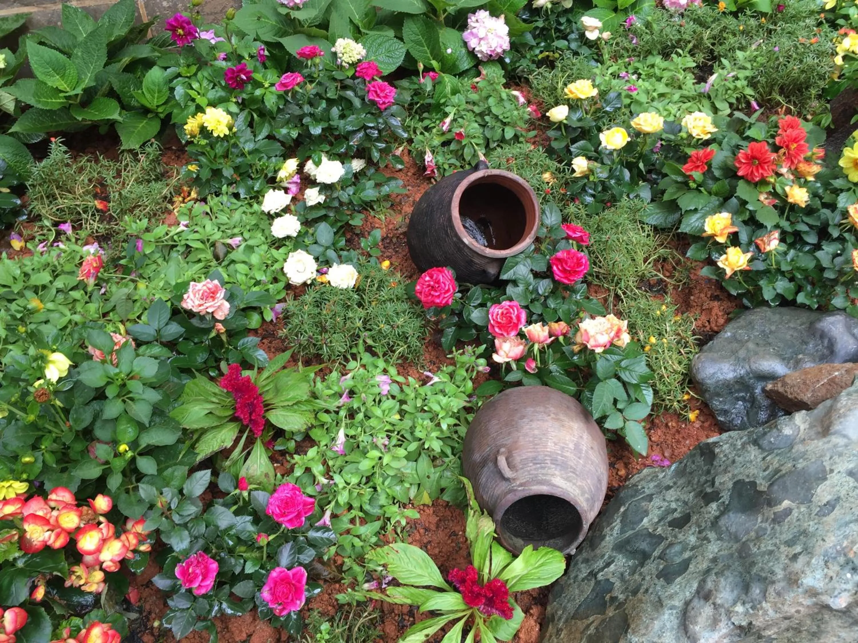 Garden in Old Story Inn Lijiang Old Town