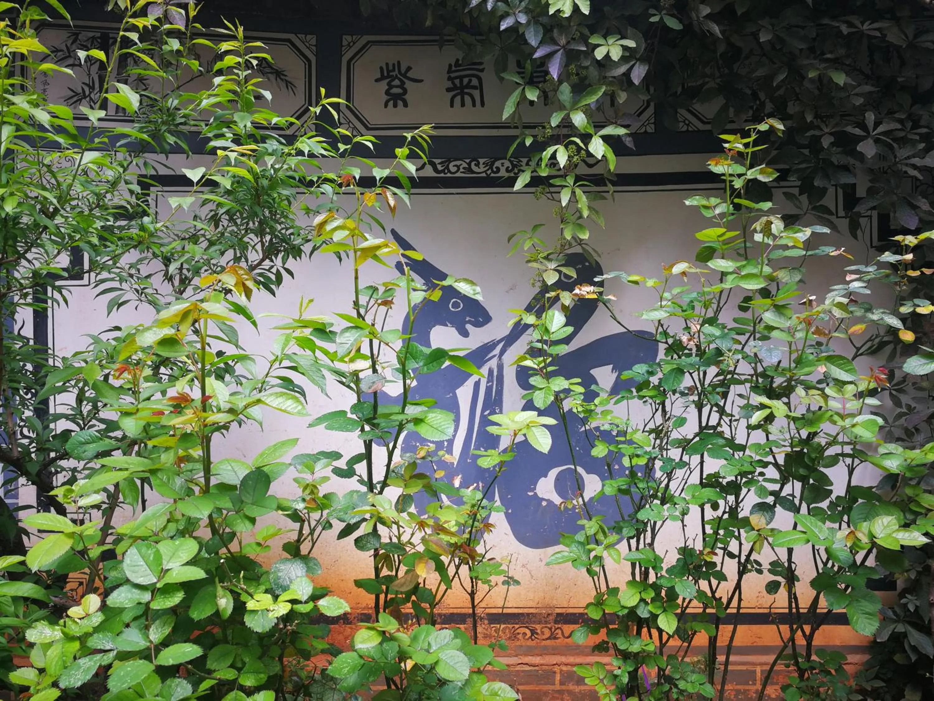 Garden in Old Story Inn Lijiang Old Town