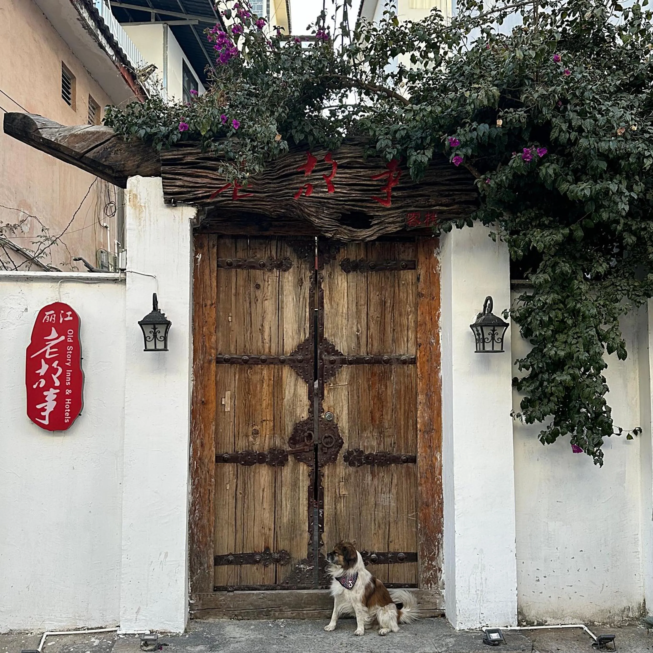 Property building in Old Story Inn Lijiang Old Town