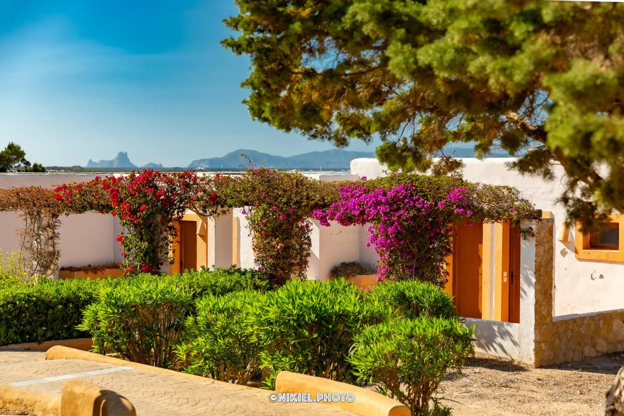 Garden in Hotel Club Sunway Punta Prima