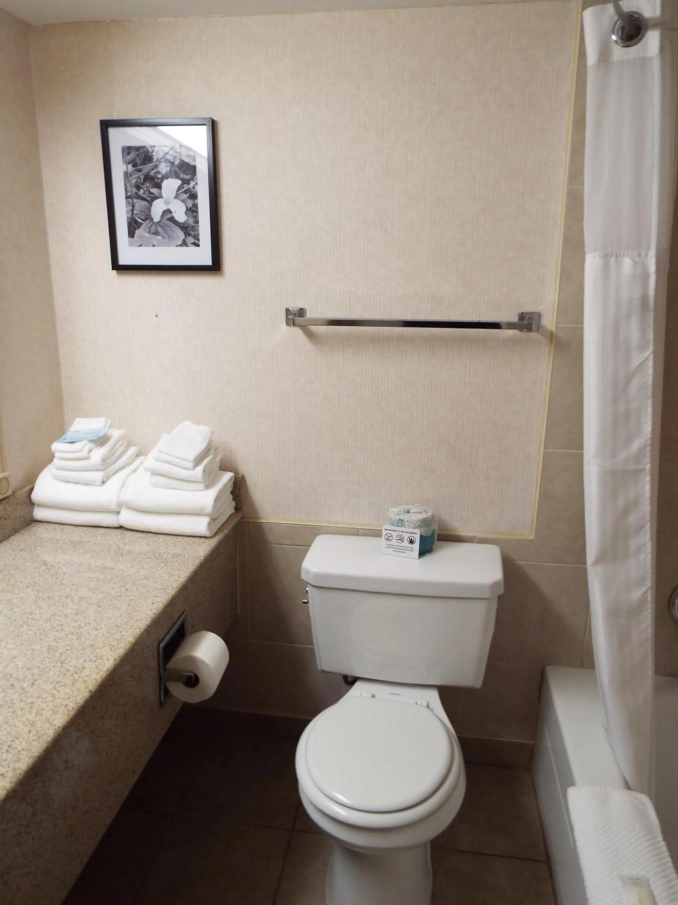 Toilet in Quality Inn