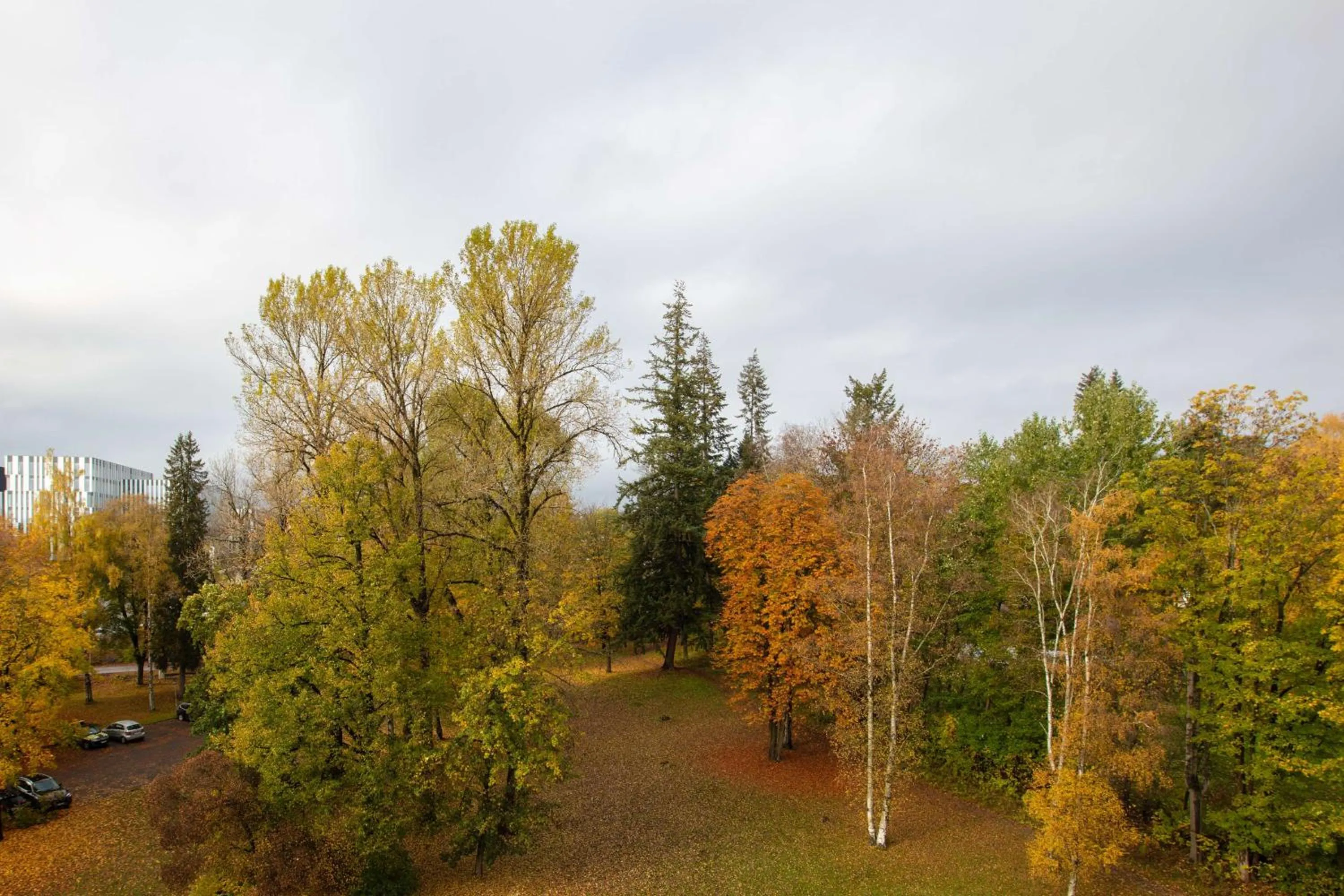 Day in Radisson Blu Park Hotel, Oslo