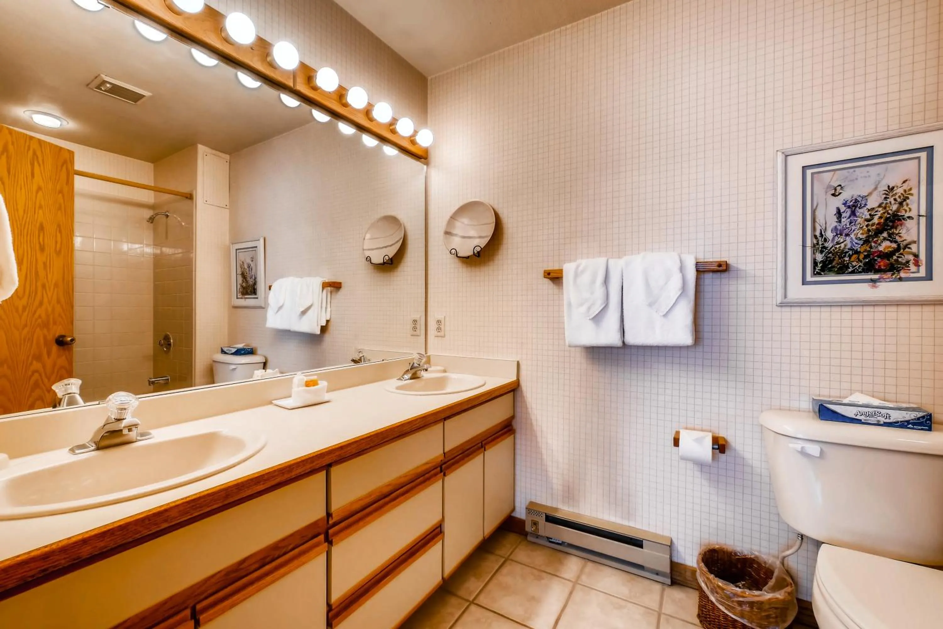 Shower in Snow Flower Condos