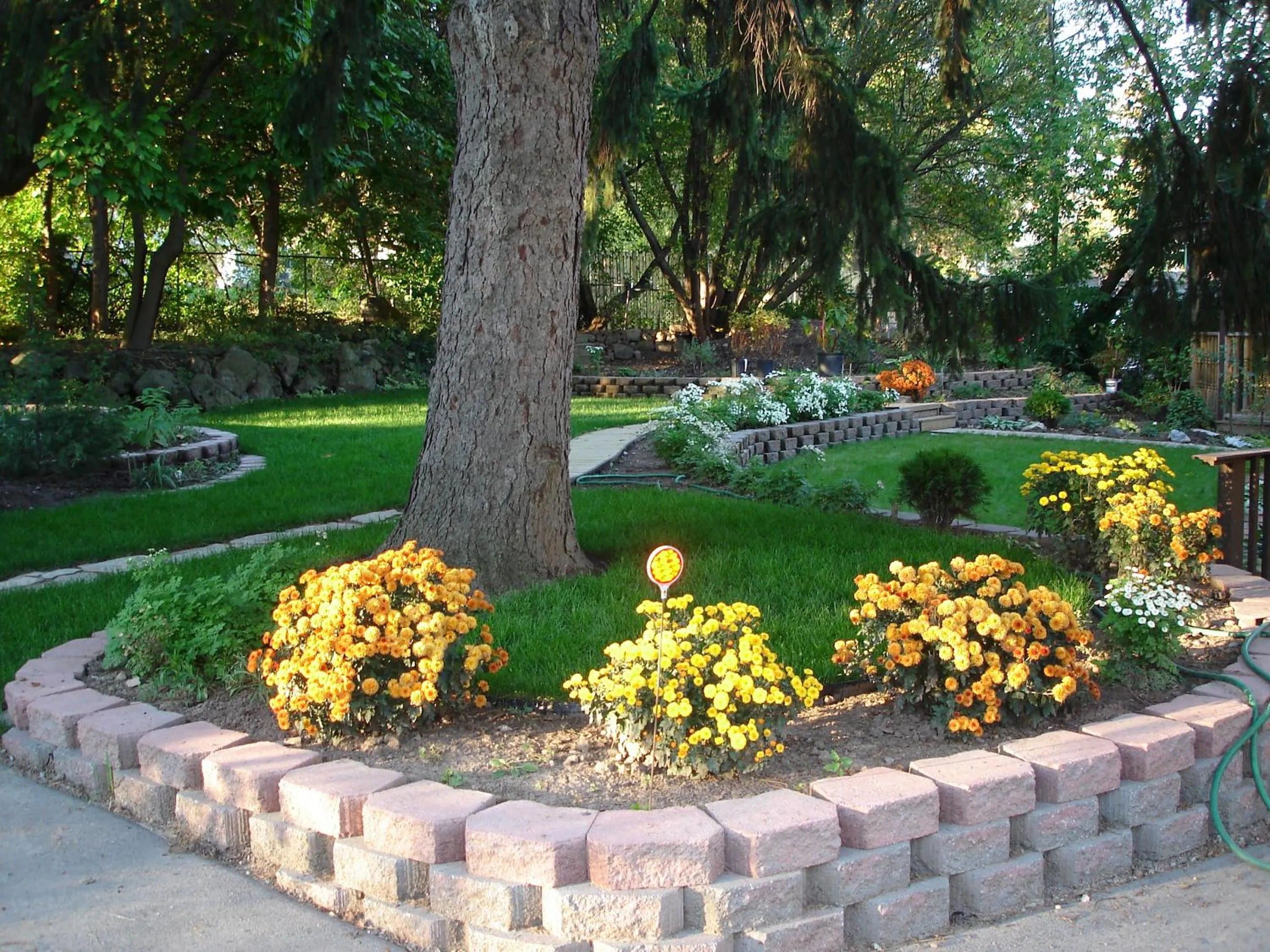 Garden in Susan's Villa