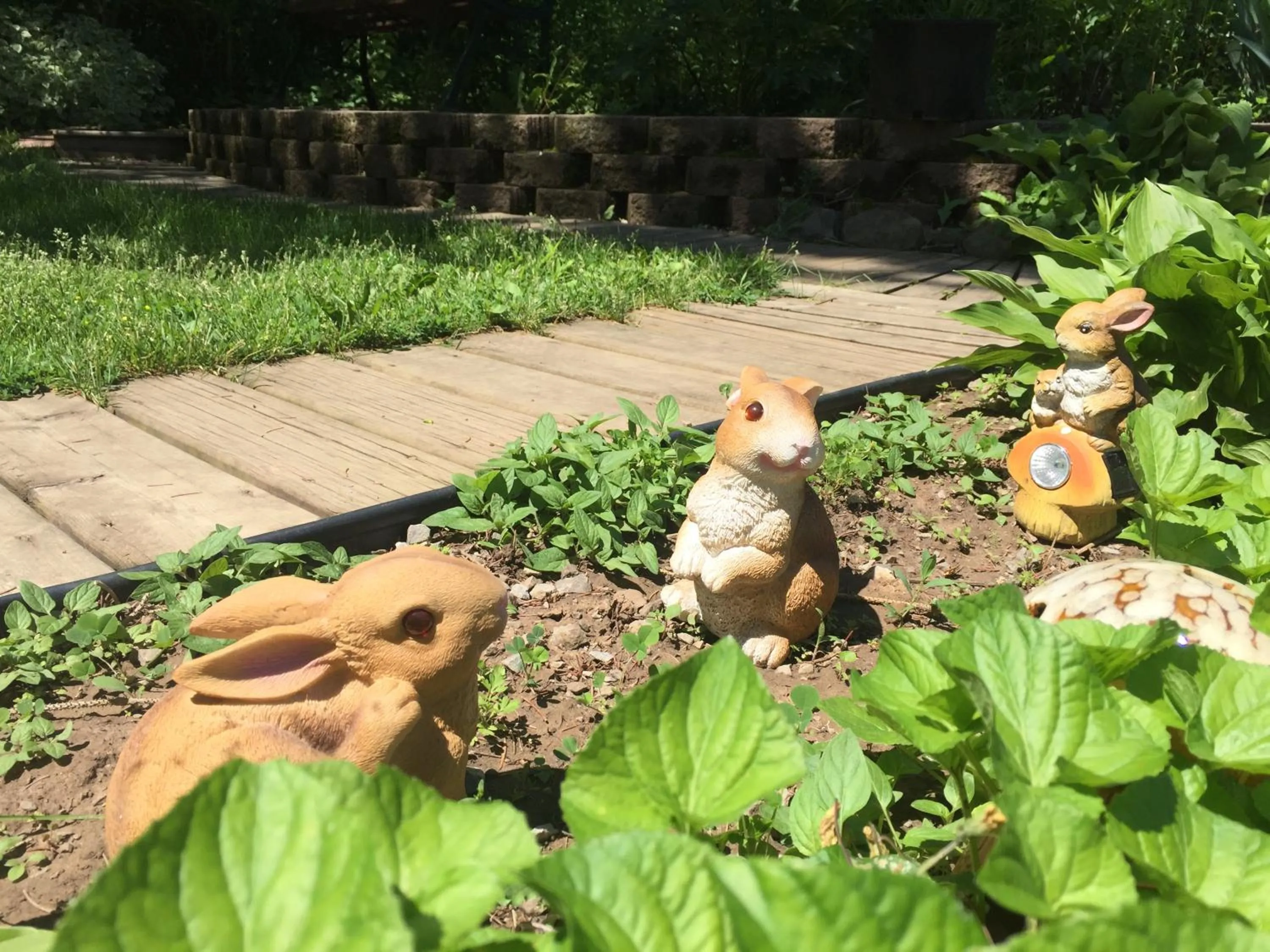 Garden view in Susan's Villa