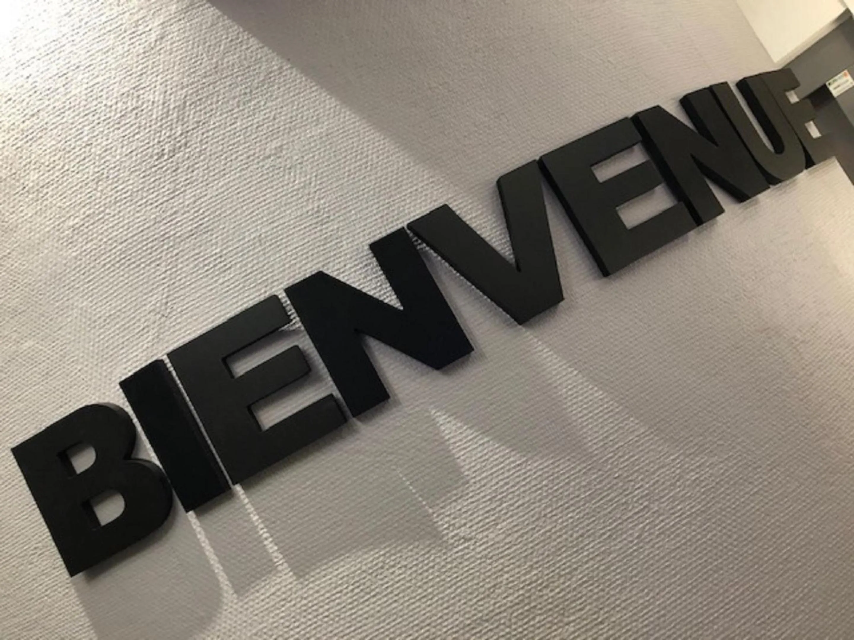 Decorative detail in Hotel Victor Hugo