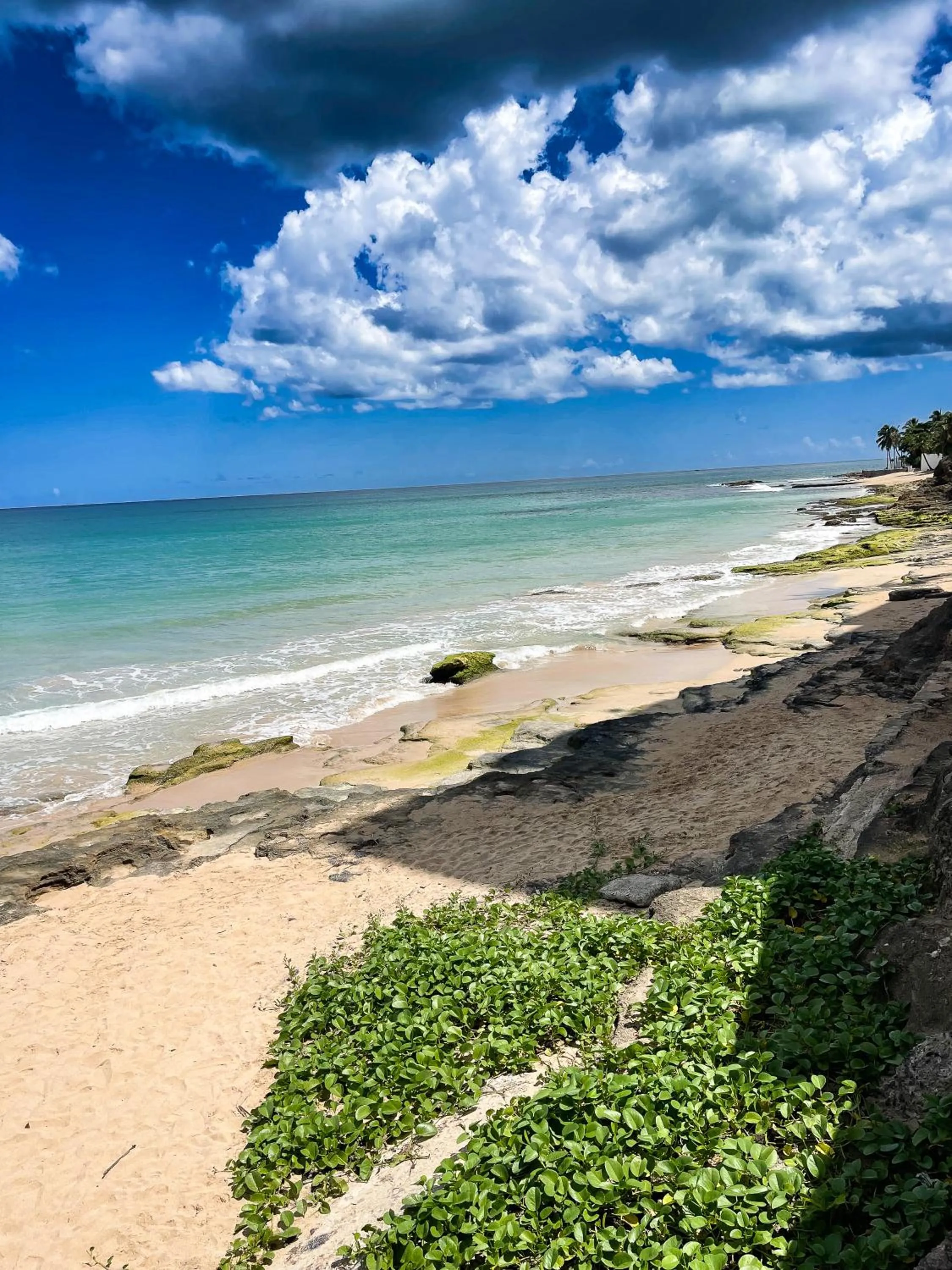 Beach in Canario Boutique Hotel