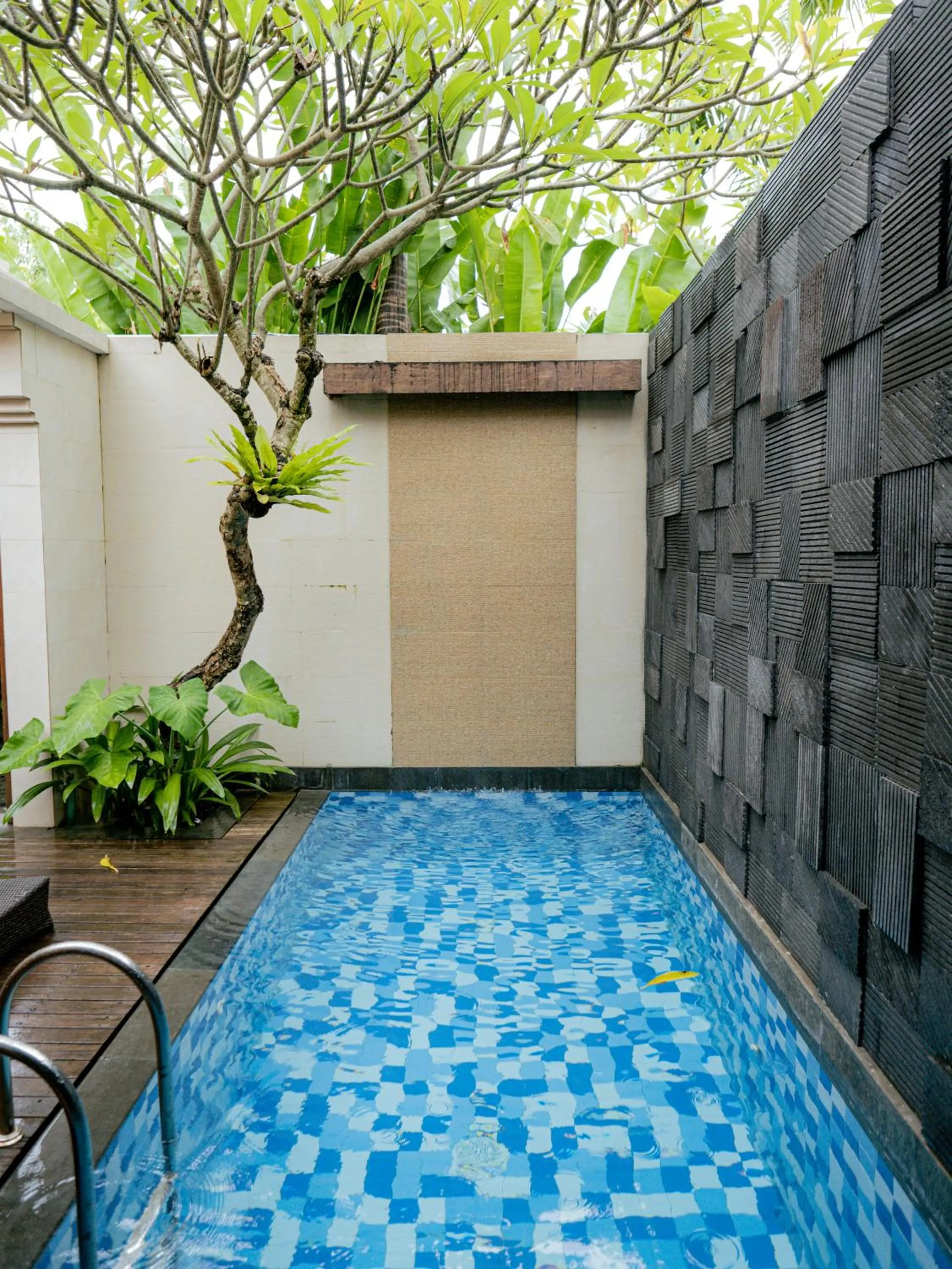 View (from property/room) in Lasanti Villas Seminyak