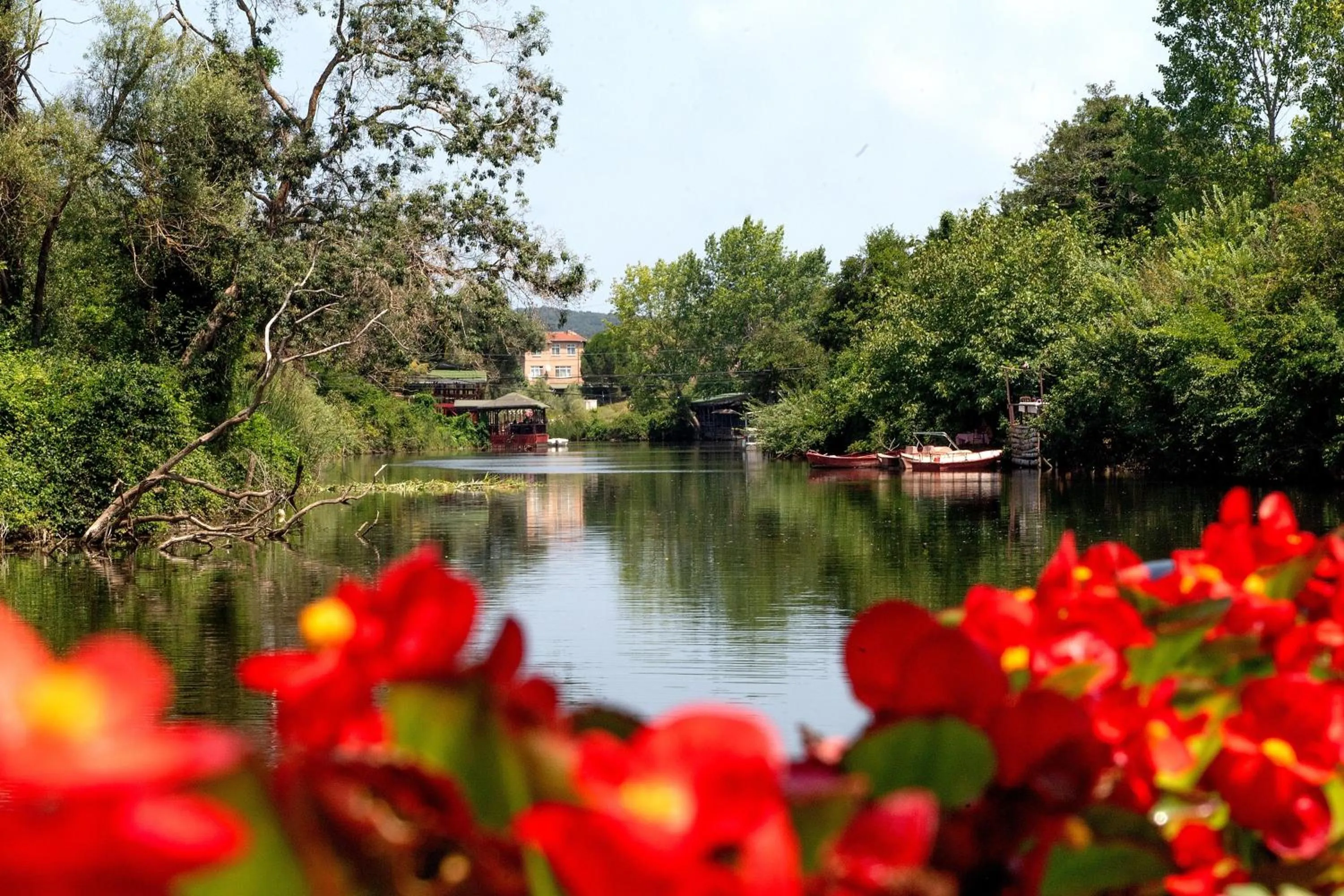 Natural landscape in Wineport Lodge Agva Riverside Hotel & Winery