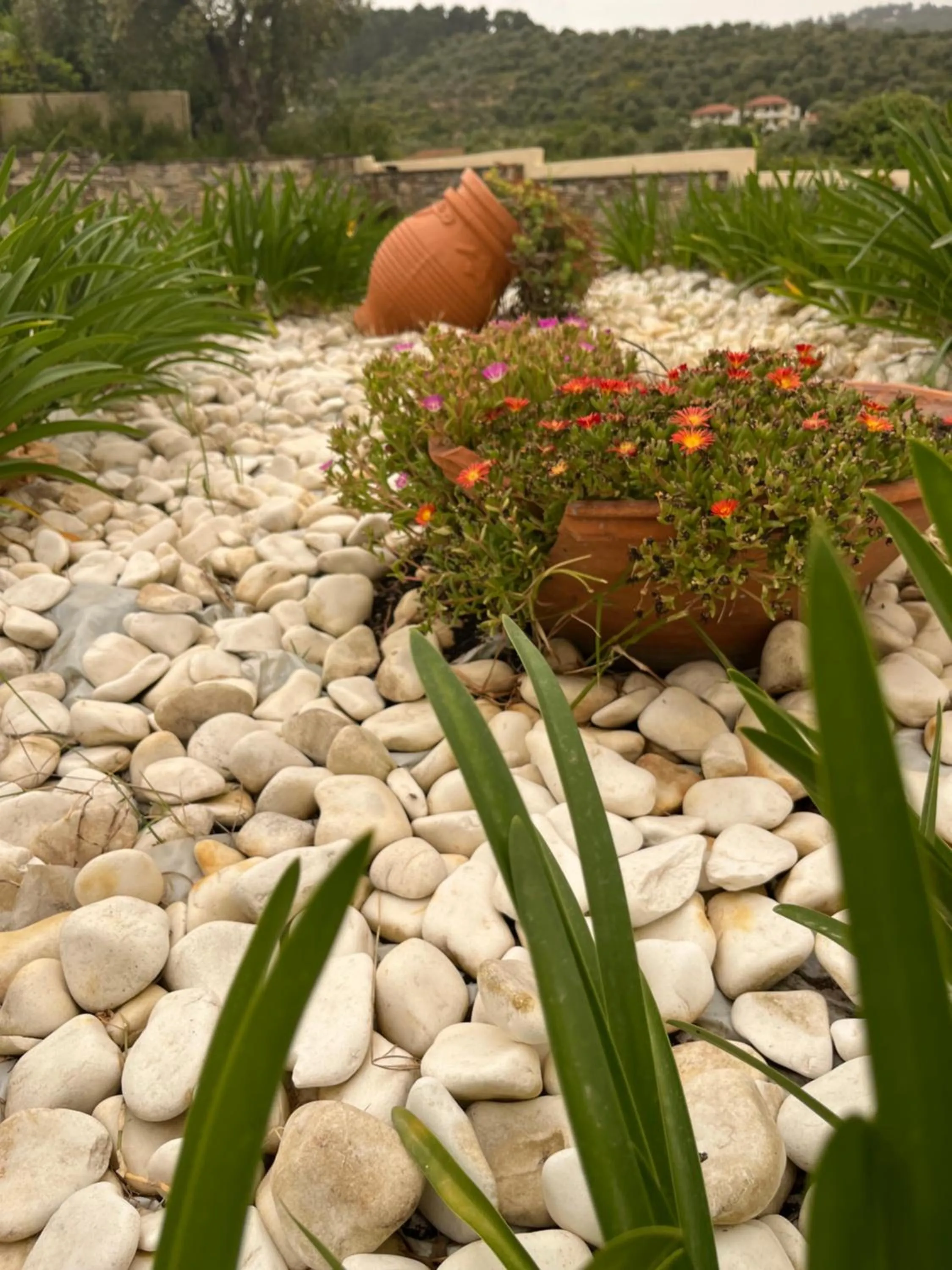 Property building in Skopelos Holidays Hotel & Spa